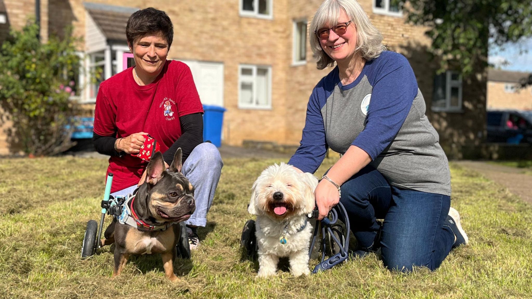 Two women, Rachel Wettner and Elaine Hockey, kneeling on grass with their two small dogs with wheelchairs supporting their back legs