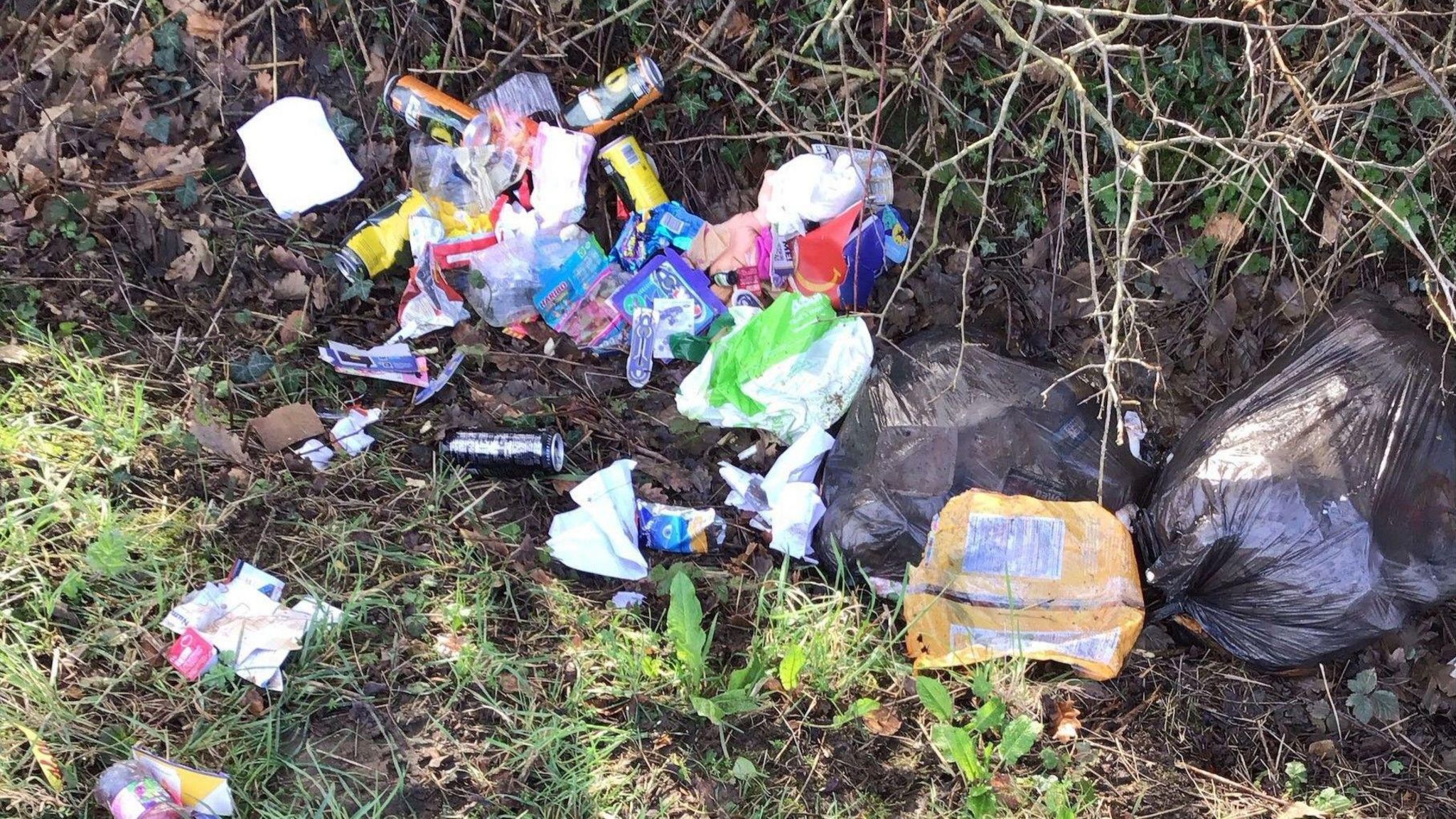 Two black bin liners of rubbish on a grass verge, including cans, empty cartons and food bags left on the ground