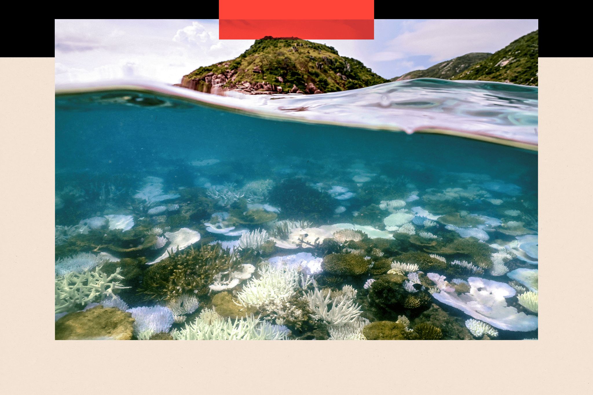 An underwater photograph showing coral that has been bleached white