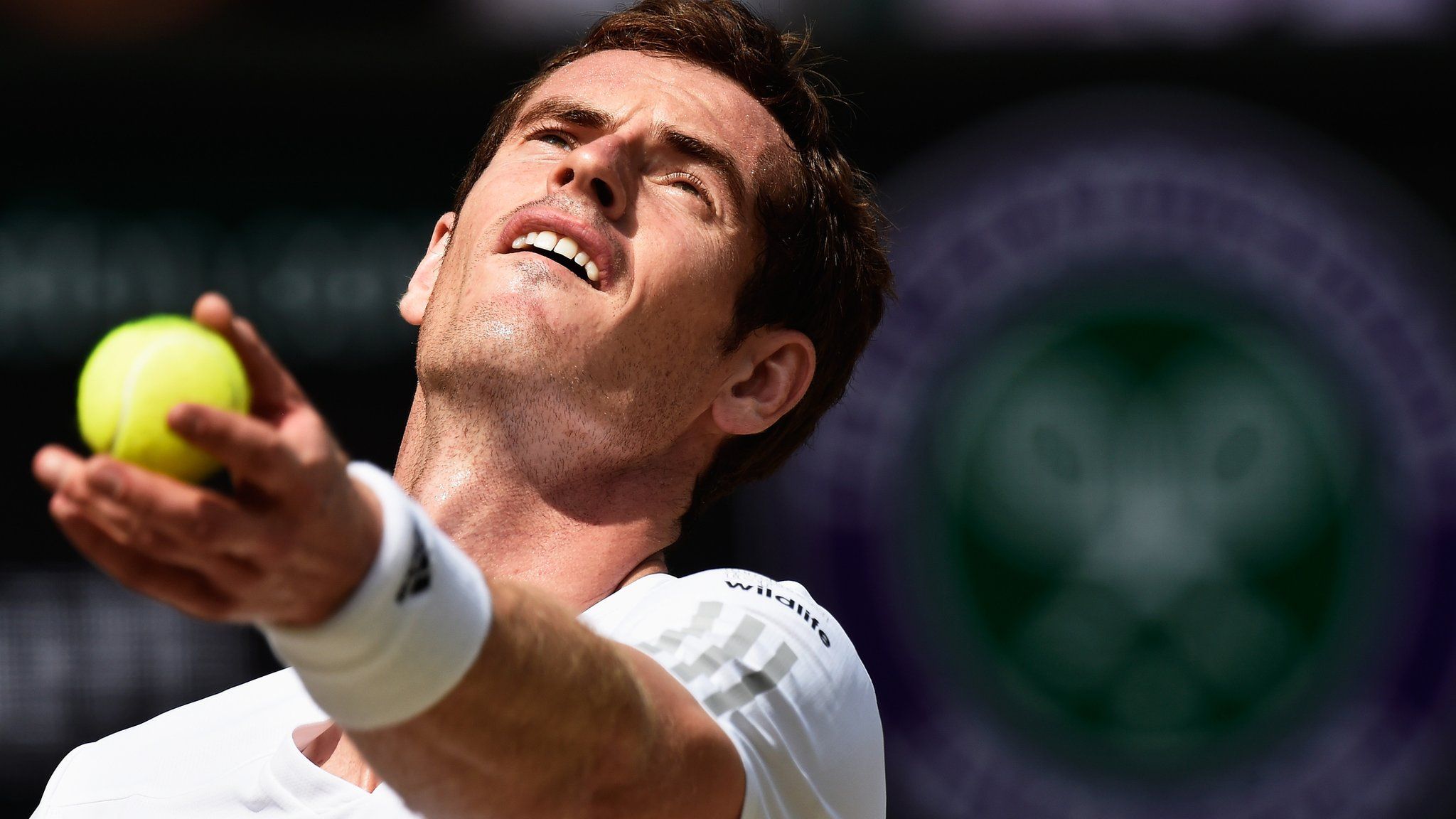 Andy Murray at Wimbledon