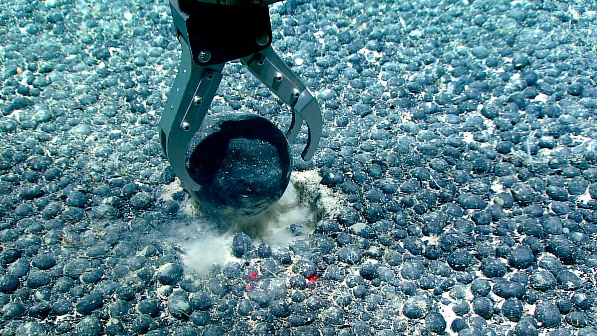 A remotely operated machine collects a metallic nodule from the seabed