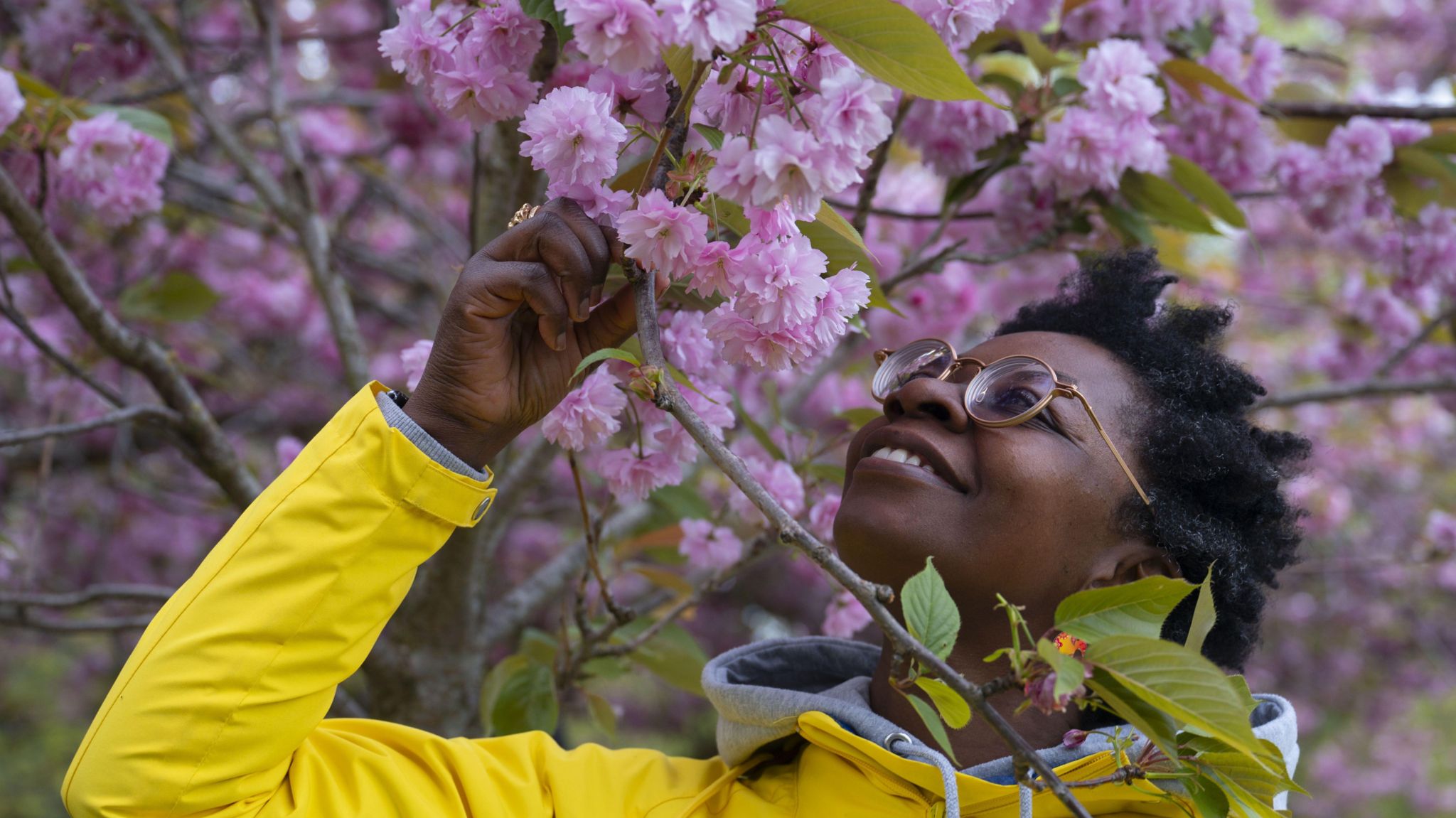 Spring blossom