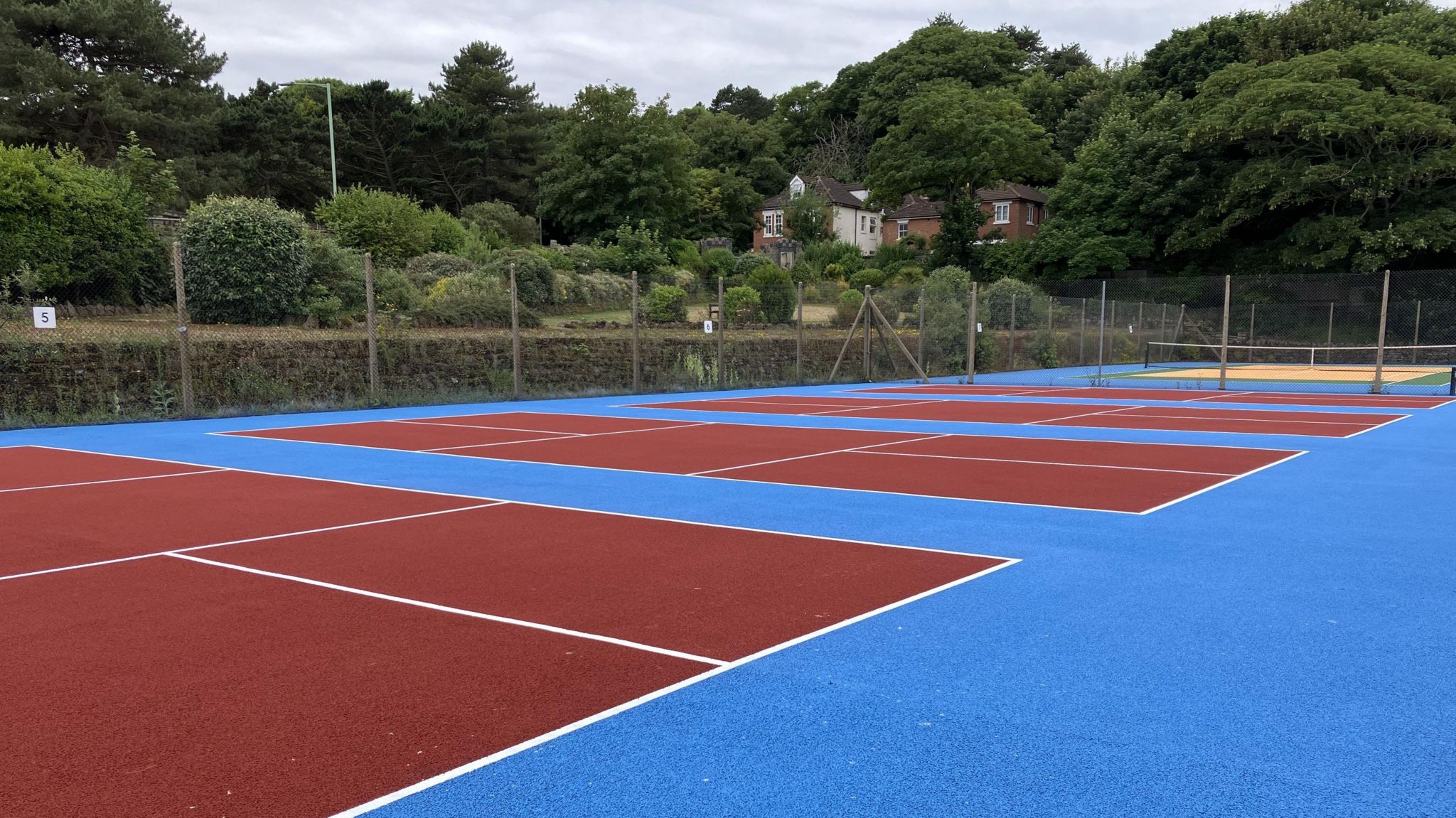 Red pickleball courts on a blue foundation surrounded by trees 
