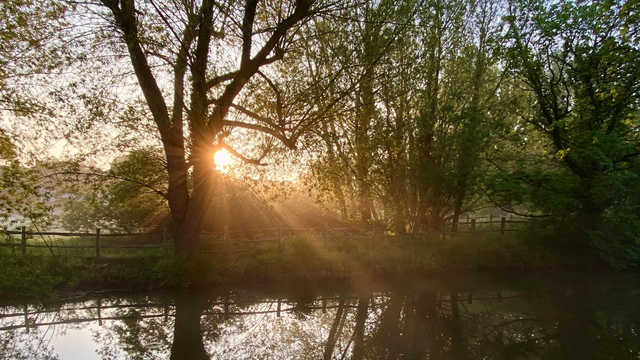 MONDAY - The sun streaming through the trees next to Oxford Canal at Wolvercote