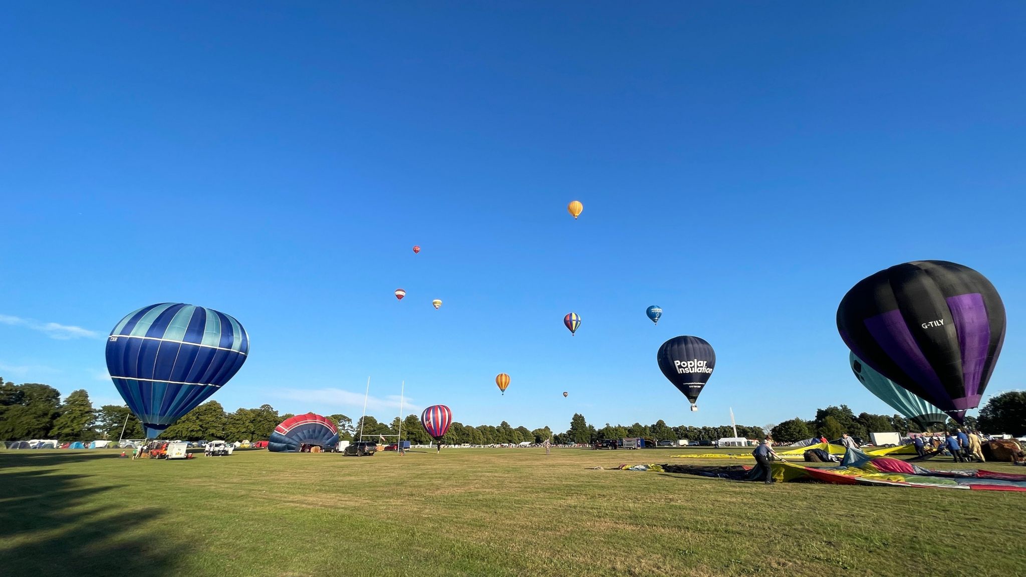 Blue, black and purple hot air balloons in various stages of flight, lifting off from a green field.