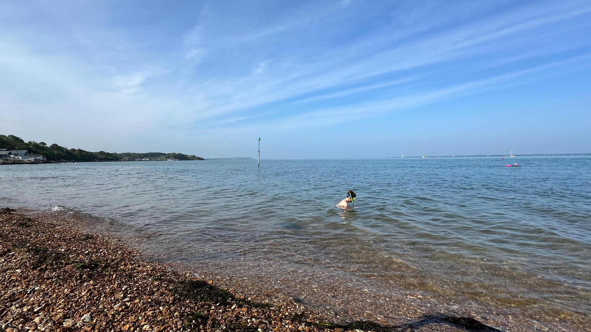 A lovely scene from a shingle beach with a dog paddling in the shallow waters. It's a clear and sunny day.