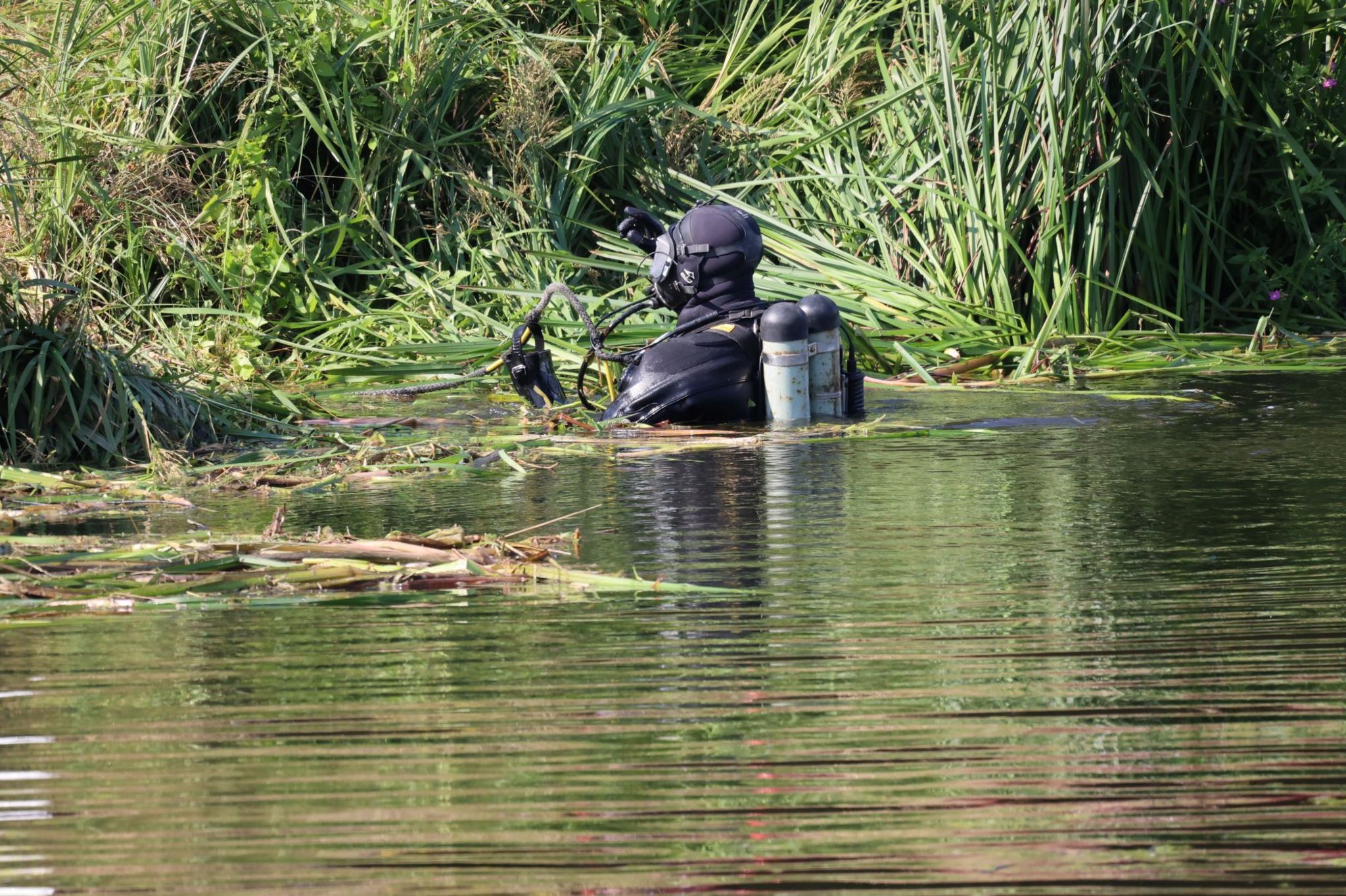 Diver in river