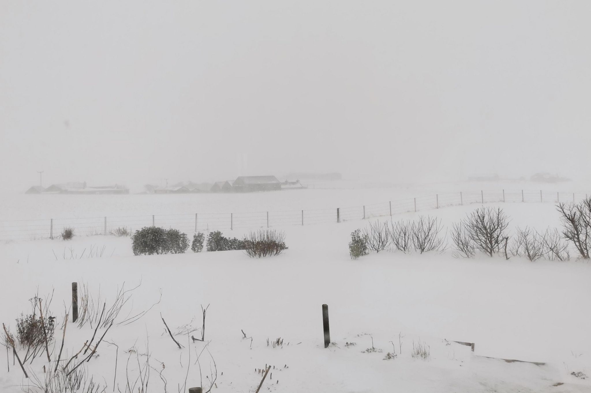 In pictures: Scotland under a blanket of snow - BBC News