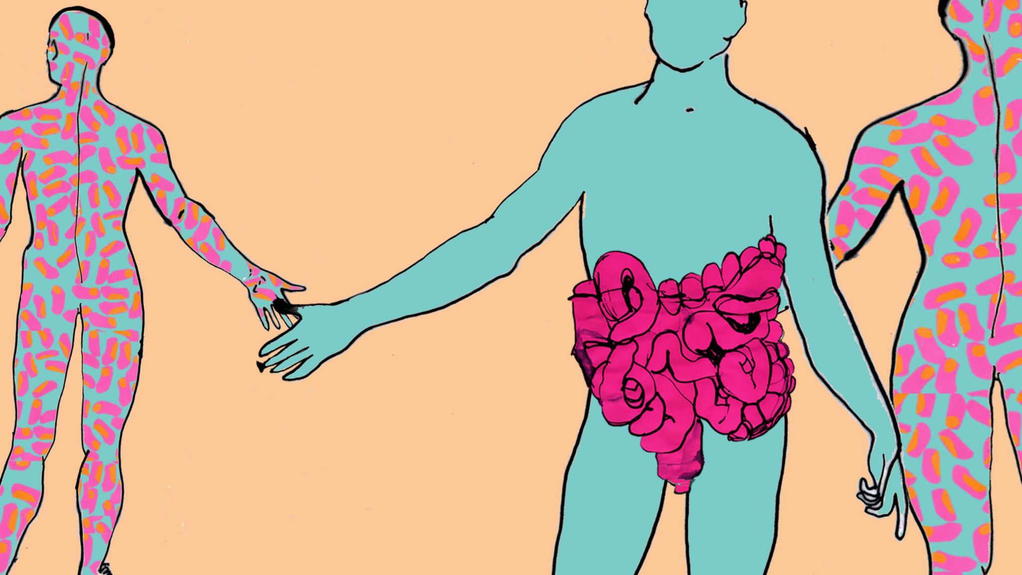 Poo transplant illustration