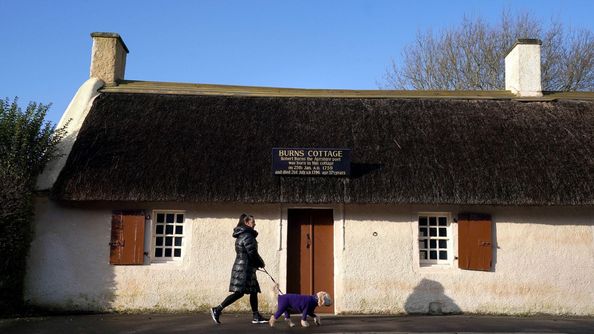 Woman and dog walking past Burns cottage