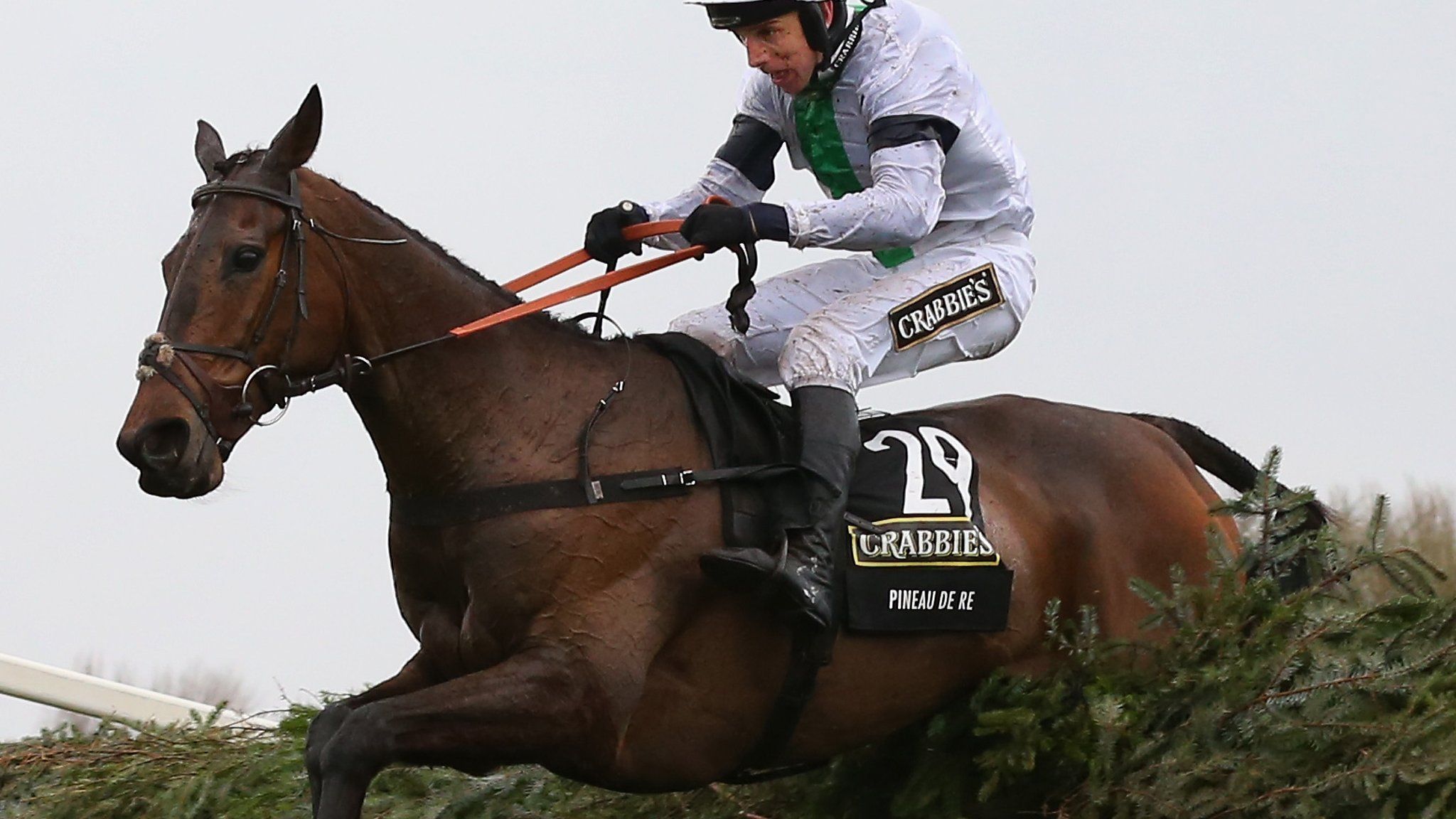 Pineau de Re en route to victory in the 2014 Grand National