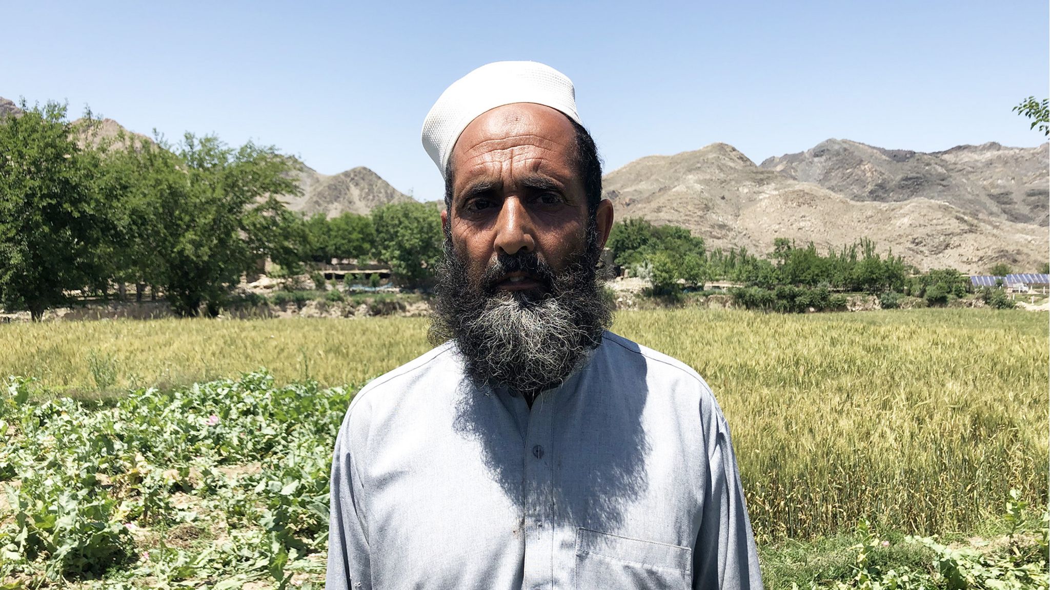 Farmer Ali Mohammed Mia