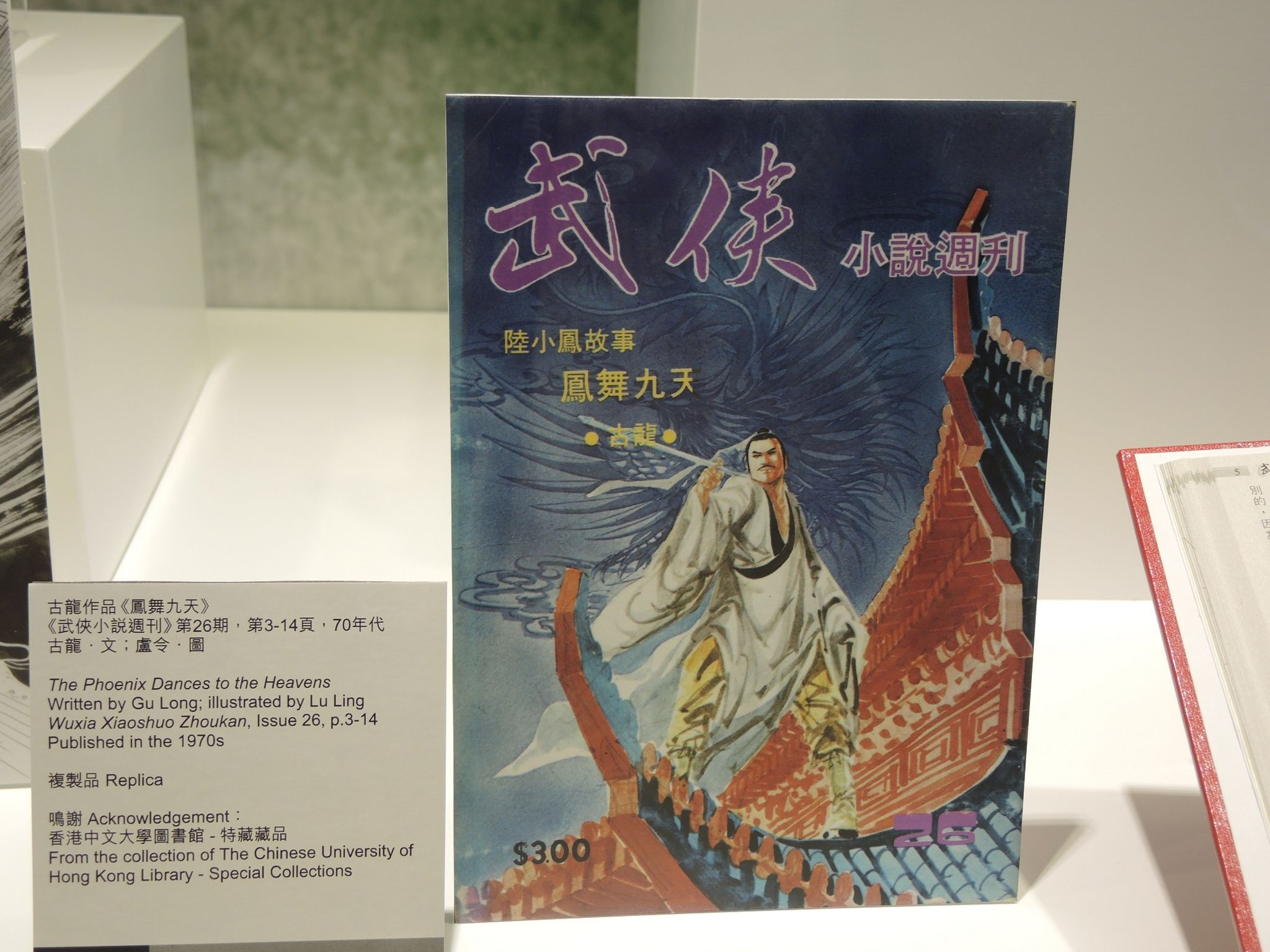 martial art book on display