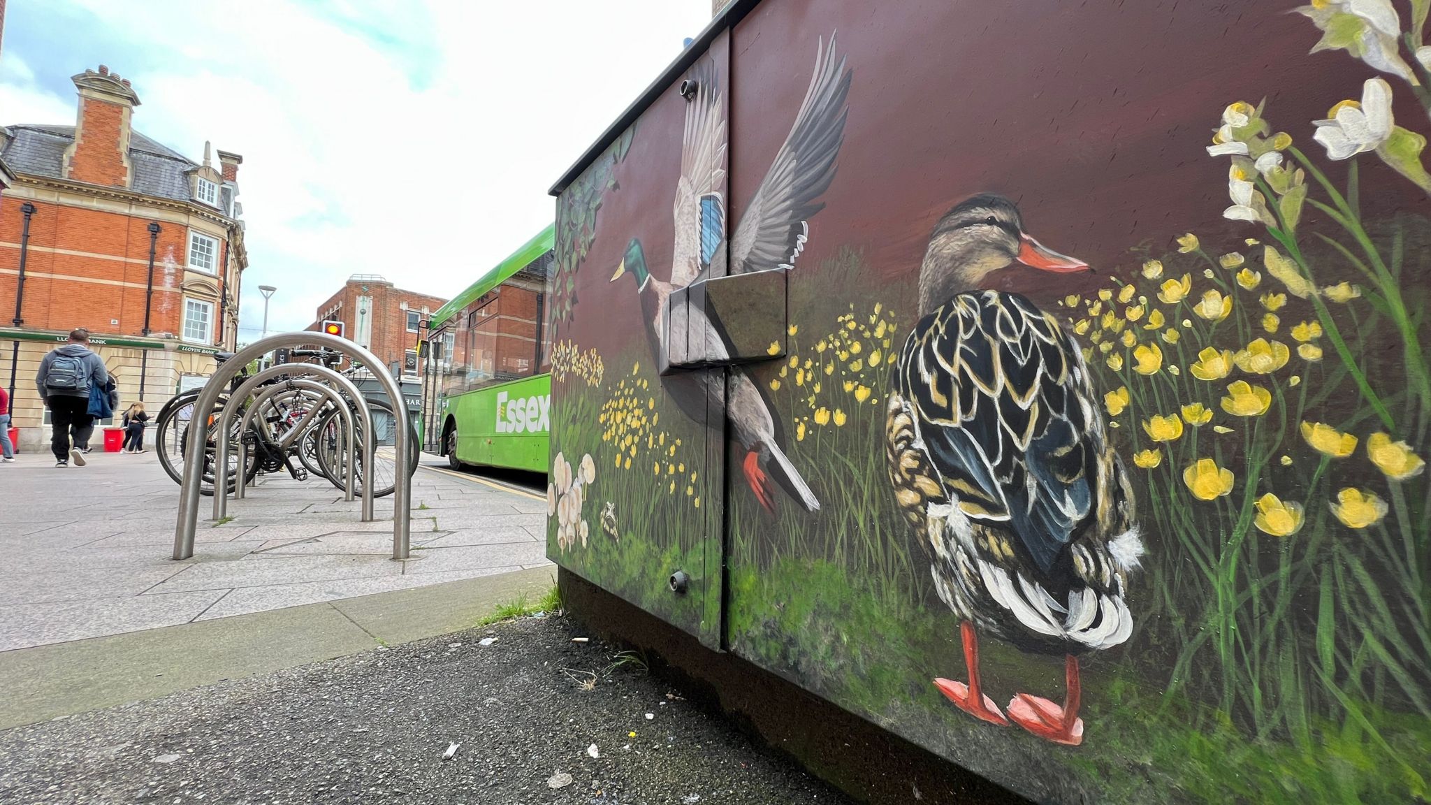 A mural of ducks on a telephone exchange cabinet in Chelmsford.