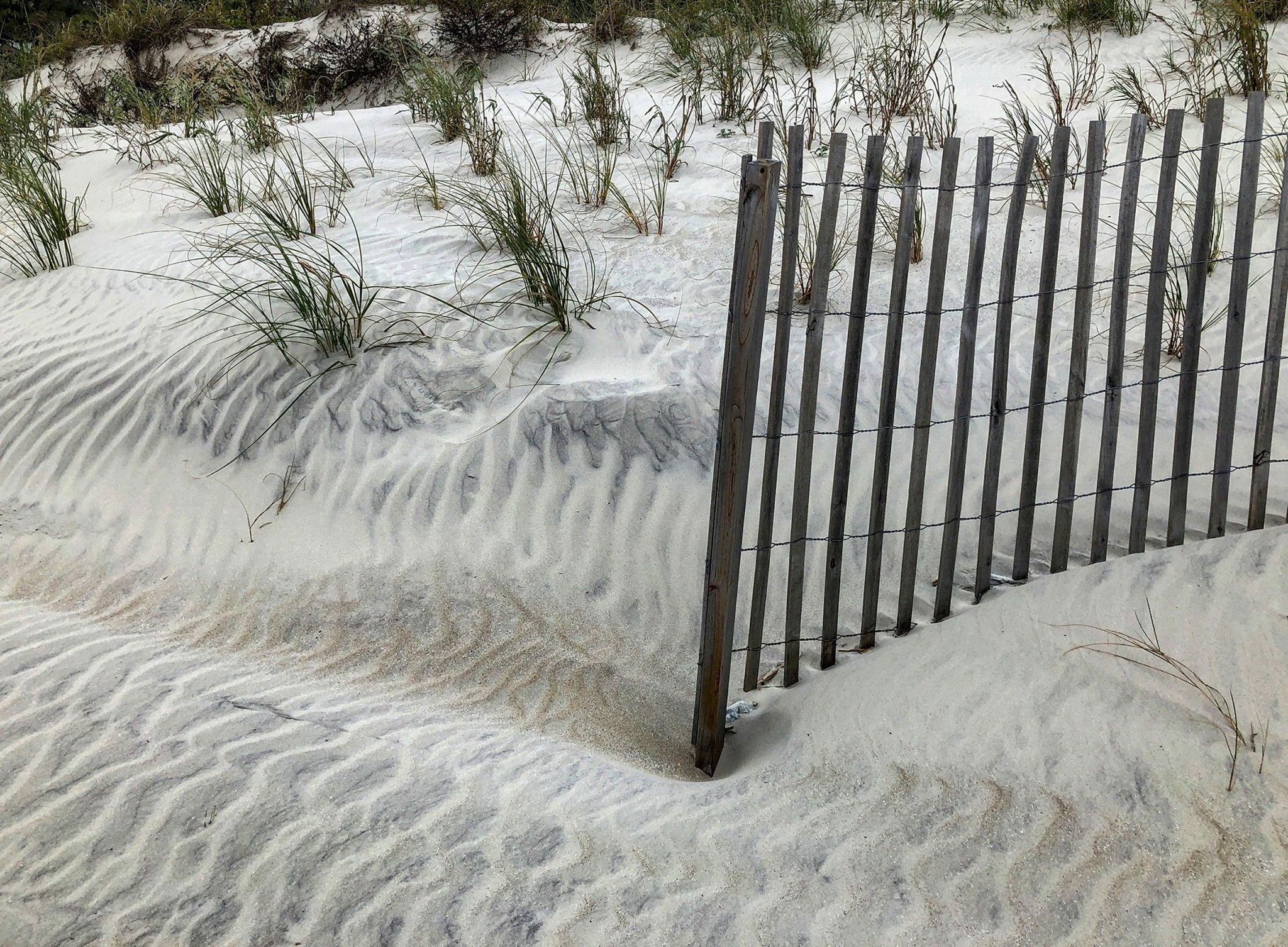 Ripples in sand dune