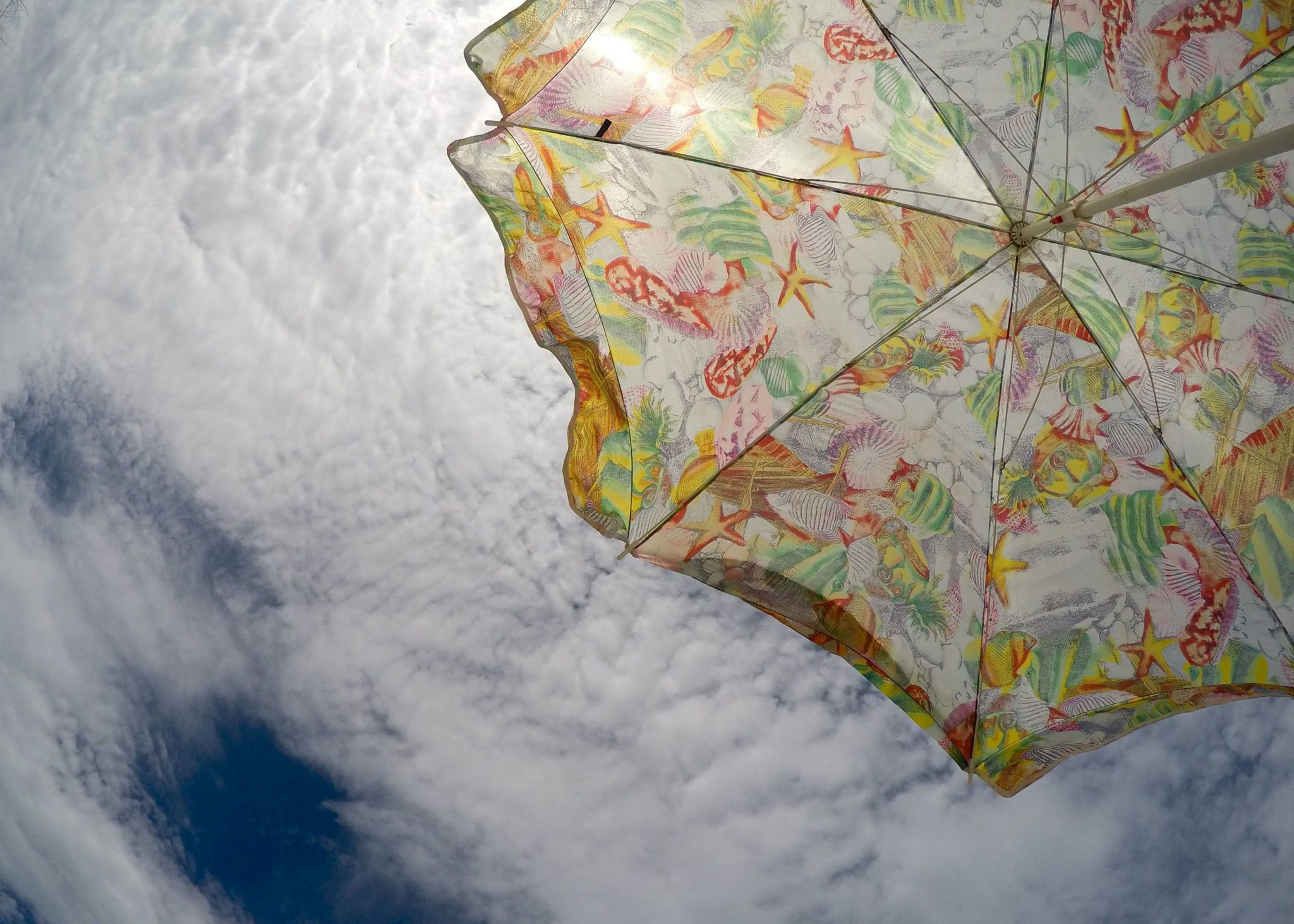 Looking up at the sky through a parasol