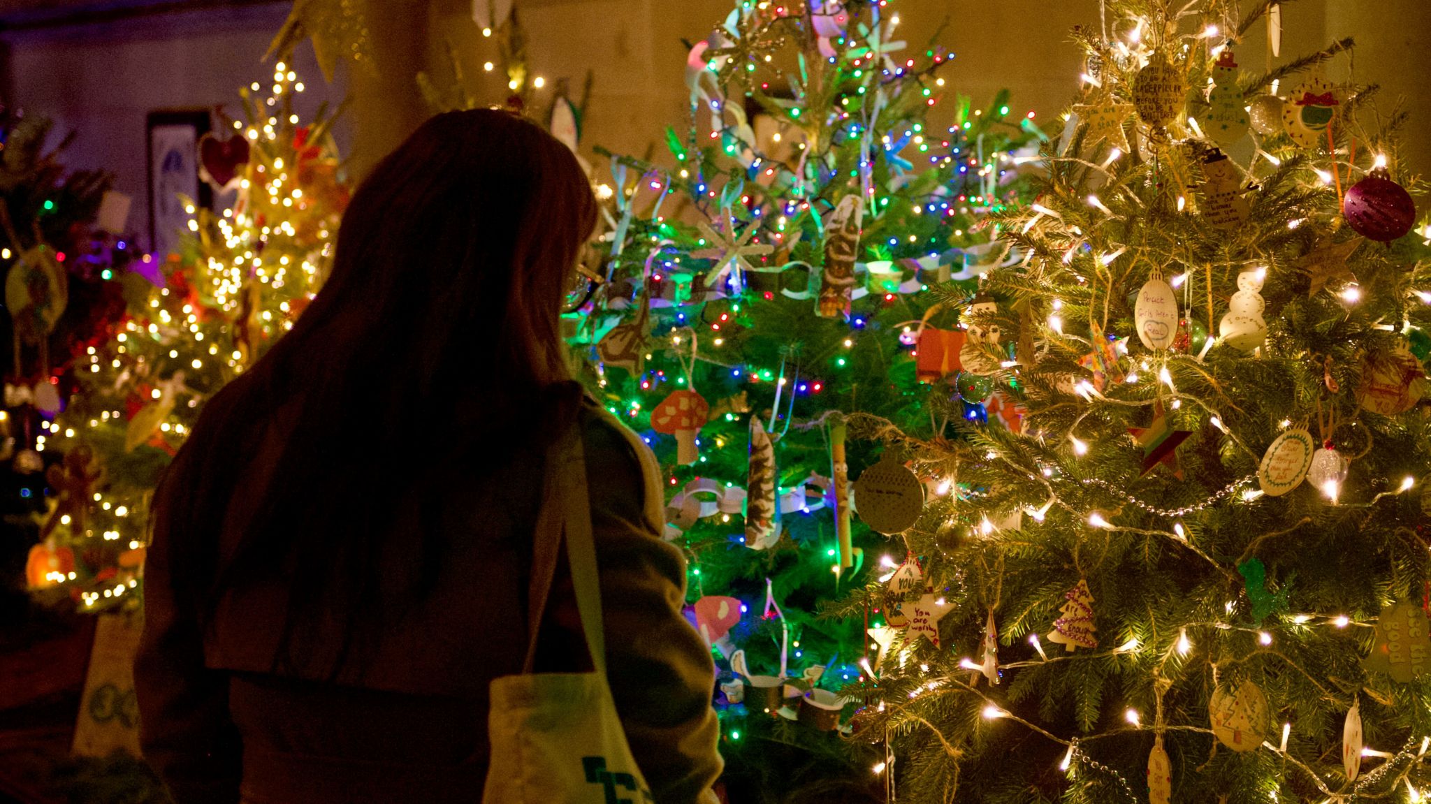 Royal Leamington Spa Christmas Tree Festival