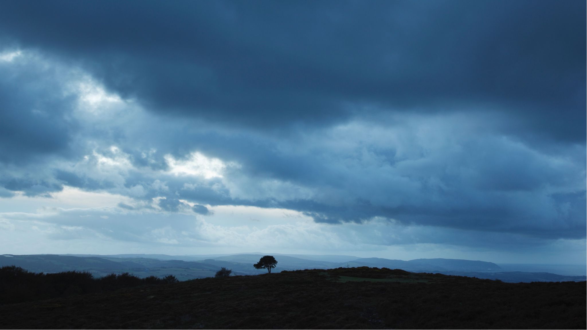 Lone pine tree on hilly landscape with textured dark grey skies overhead