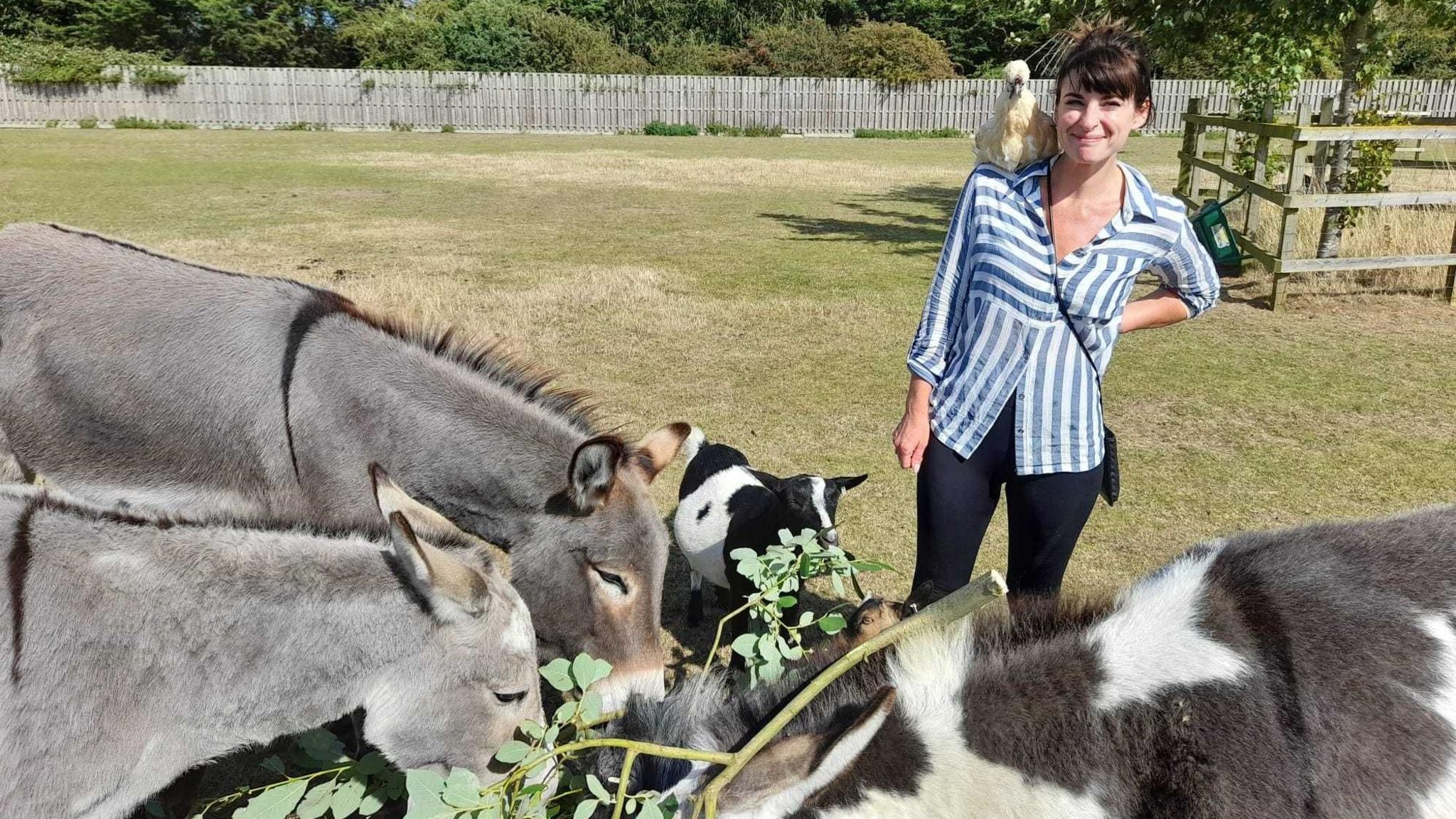 Zoe Fitzjohn, who has black hair and is wearing a blue-and-white striped top and black trousers, stands and smiles as three donkeys and a goat eat food. Ms Fitzjohn has a chicken perched on her shoulder.