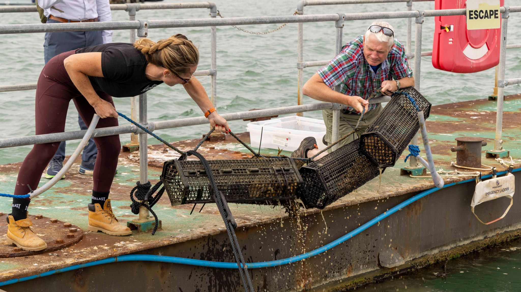 Harriet Rushton and Rod Jones picking up three black crates of oysters from the water whilst leaning through the metal railings of a pontoon over the sea