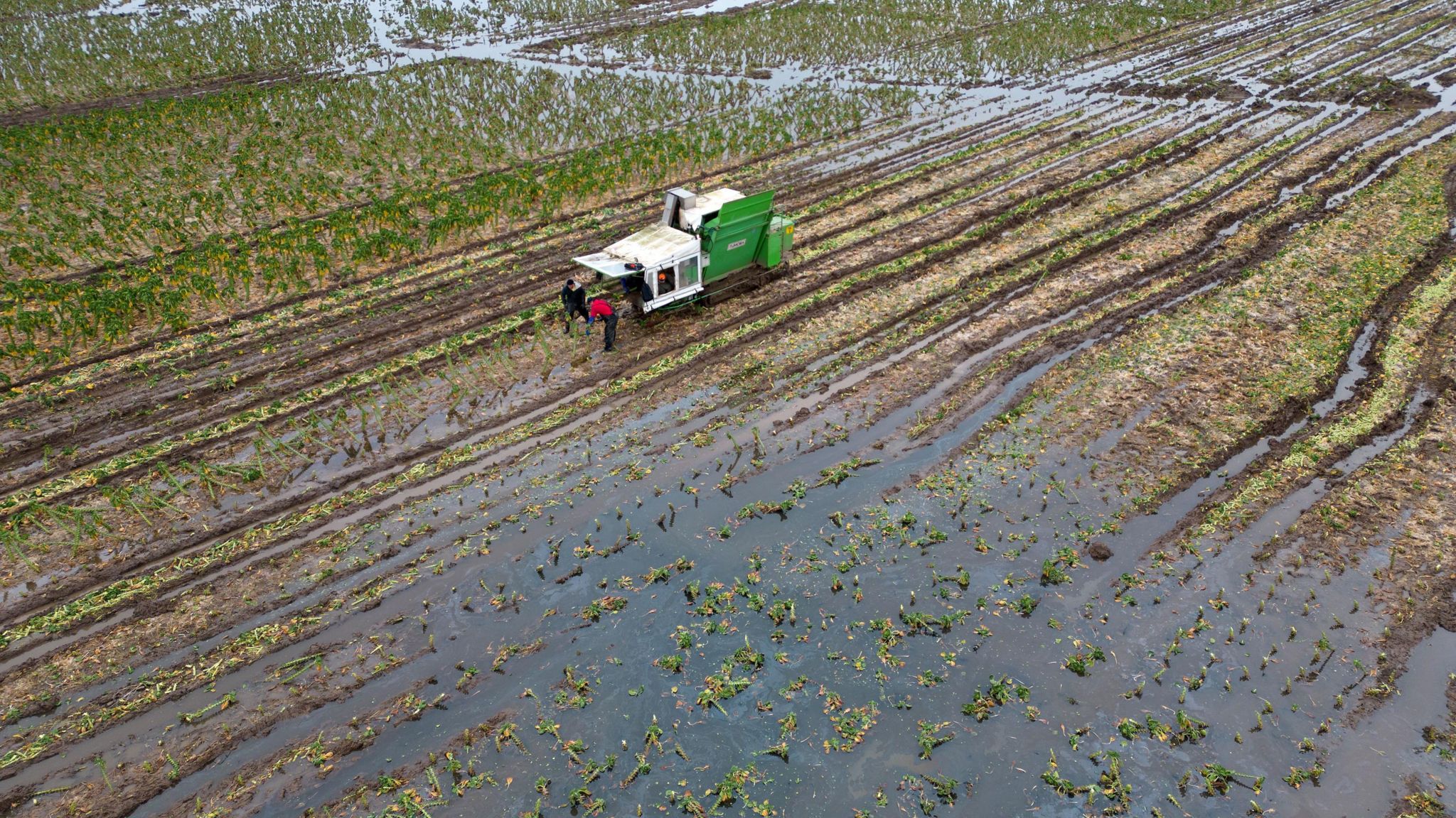 Farmers in a waterlogged field