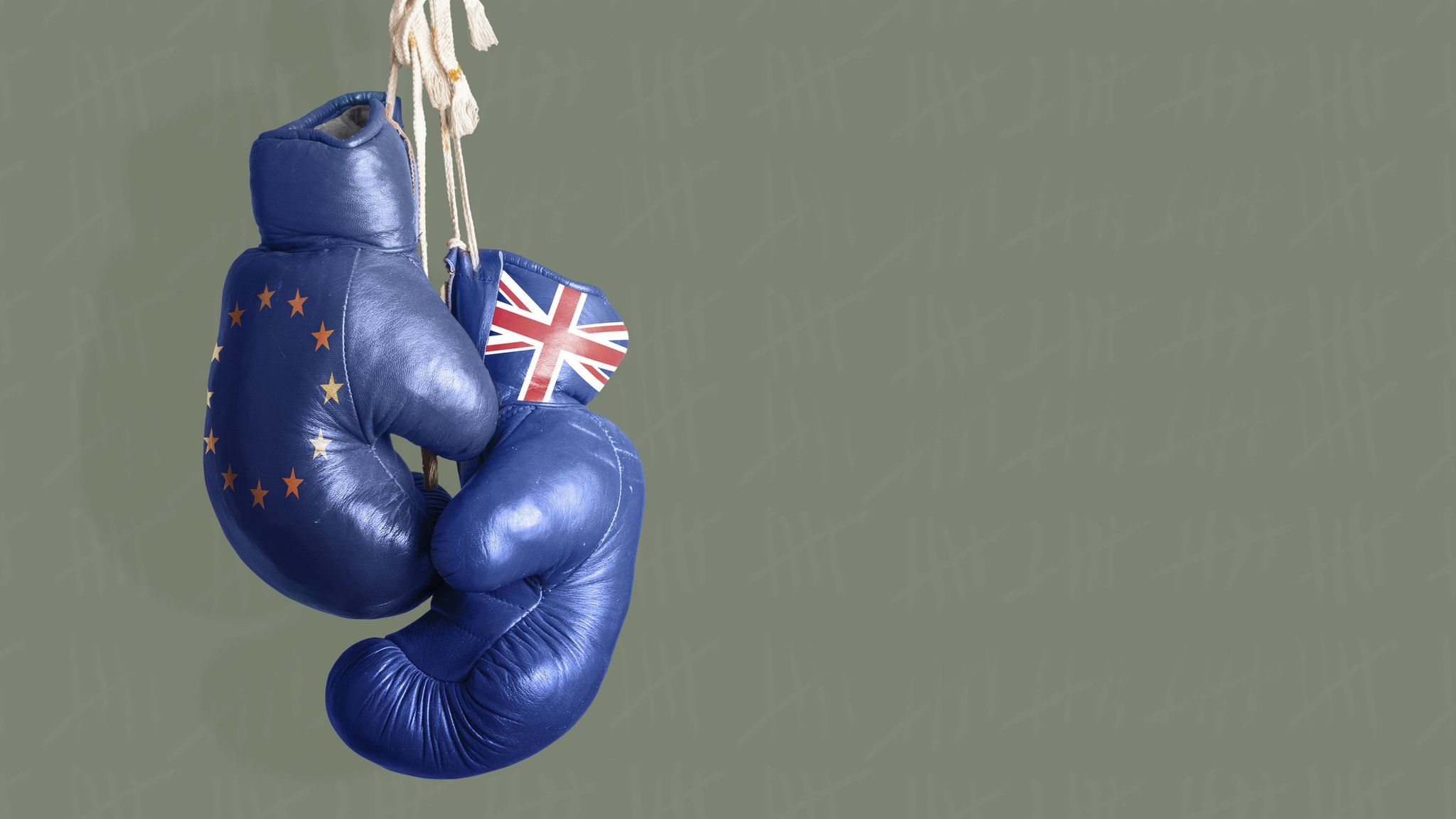 Boxing gloves with Union Jack and EU flag on them