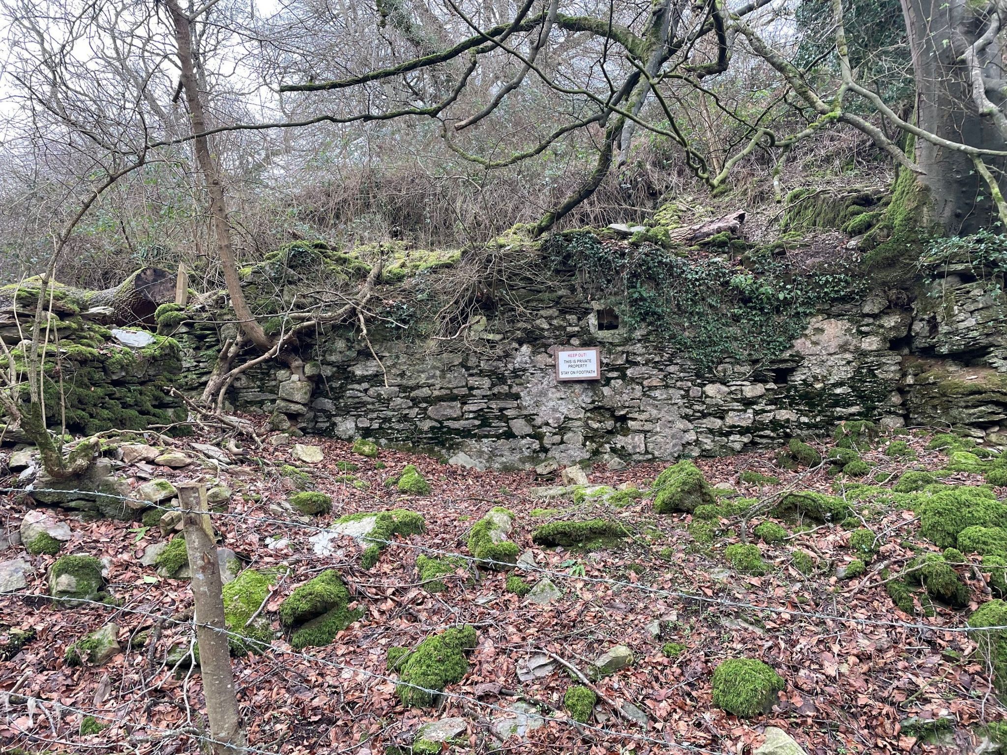 The ruins of Bickham Mill in Clicket, overgrown with trees and bushes 
