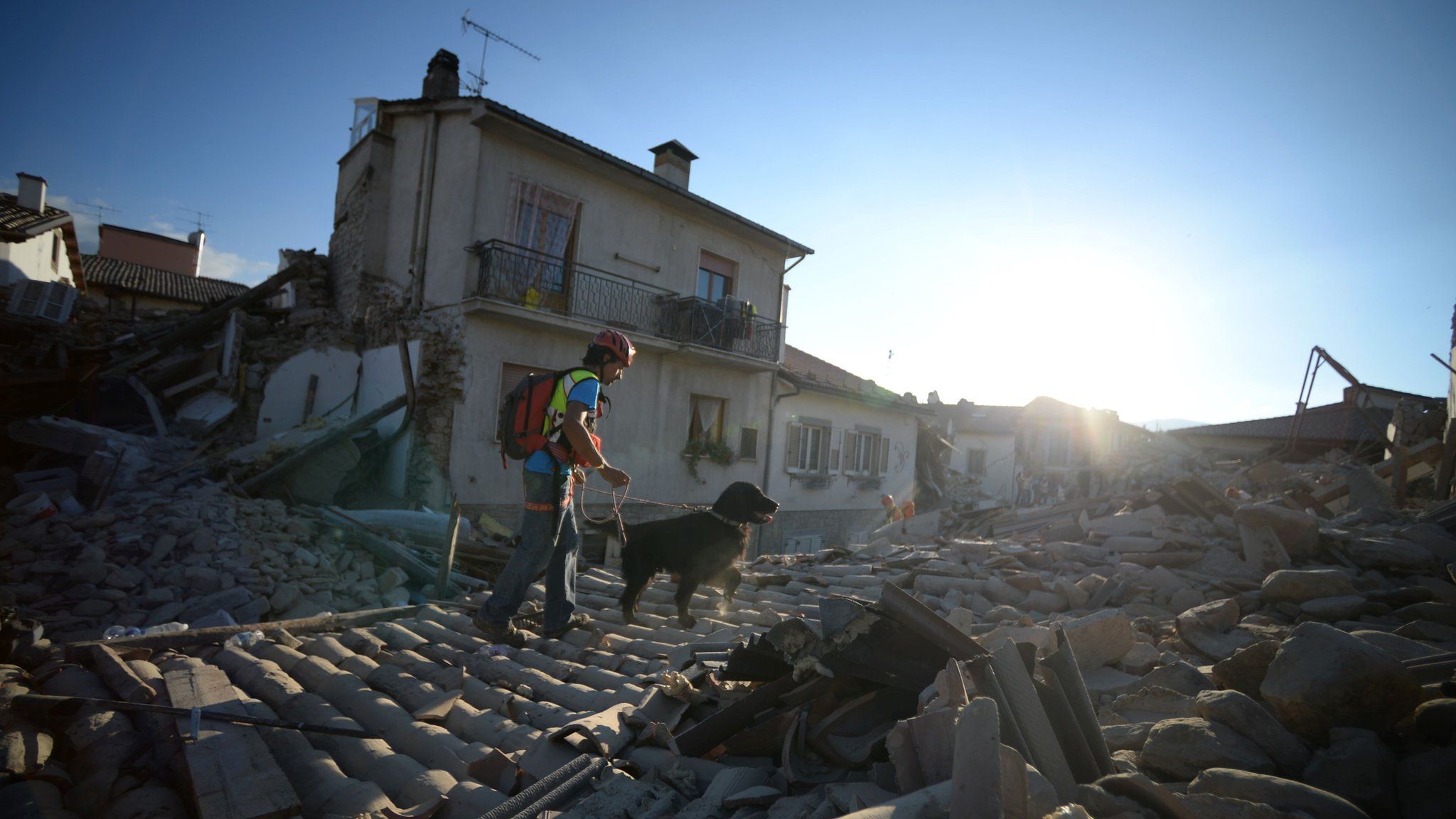 Emergency services personnel searches for victims with a dog in the central Italian village of Amatrice, on August 24, 2016