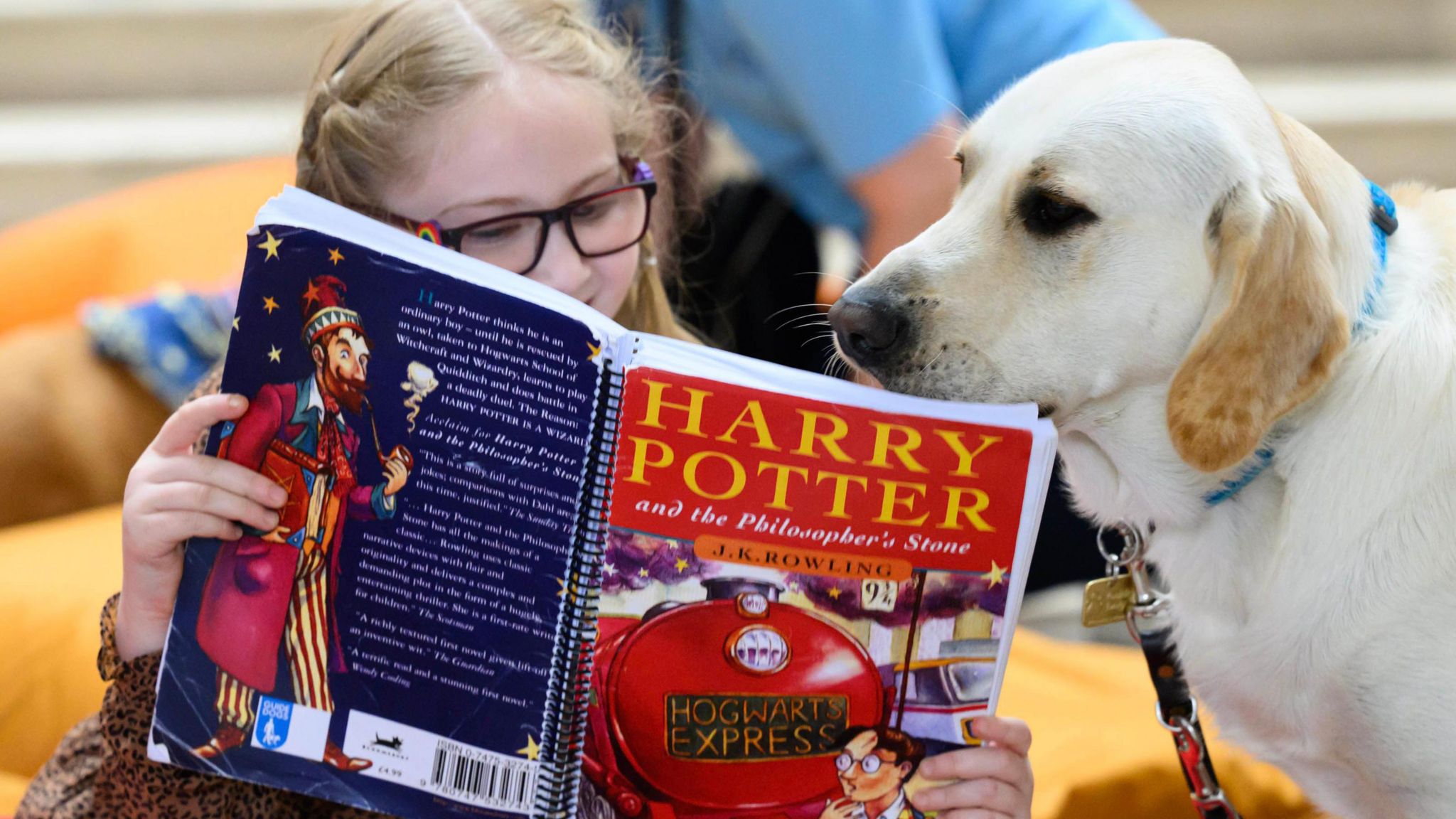 Anya, aged eight, reads Harry Potter and the Philosopher's Stone to Labrador-golden retriever cross Moxy at a special reading session hosted by Guide Dogs