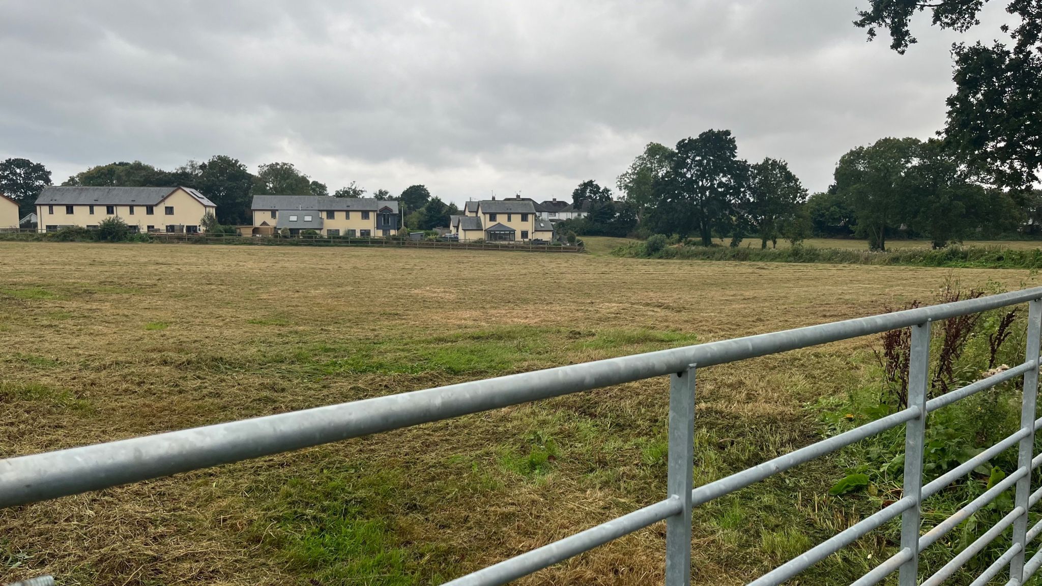 A field at Lympstone where 42 homes are planned