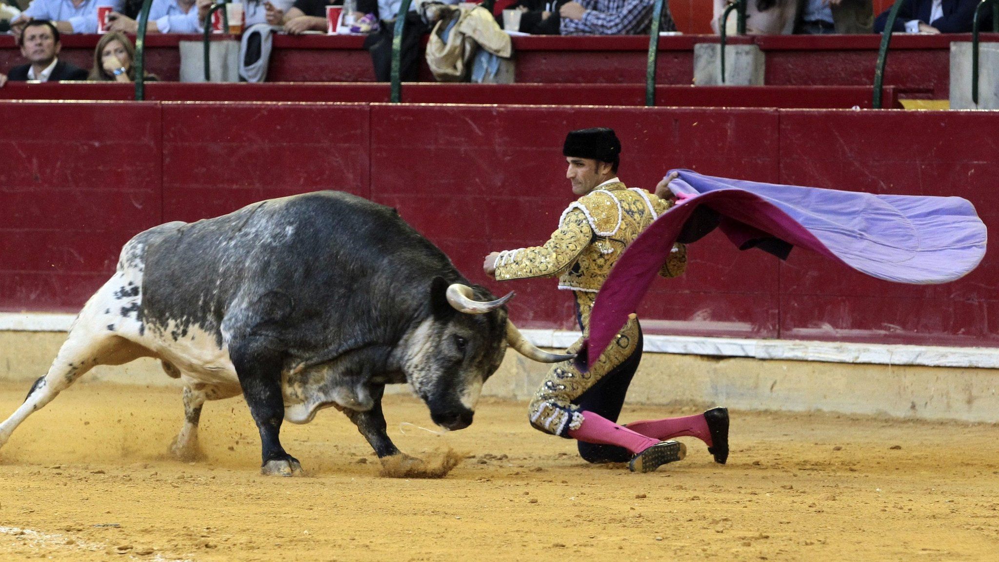 Spanish bullfighter Alberto Alvarez fights against his first bull during the El Pilar Fair bullfight in Zaragoza, Spain, 9 October 2016