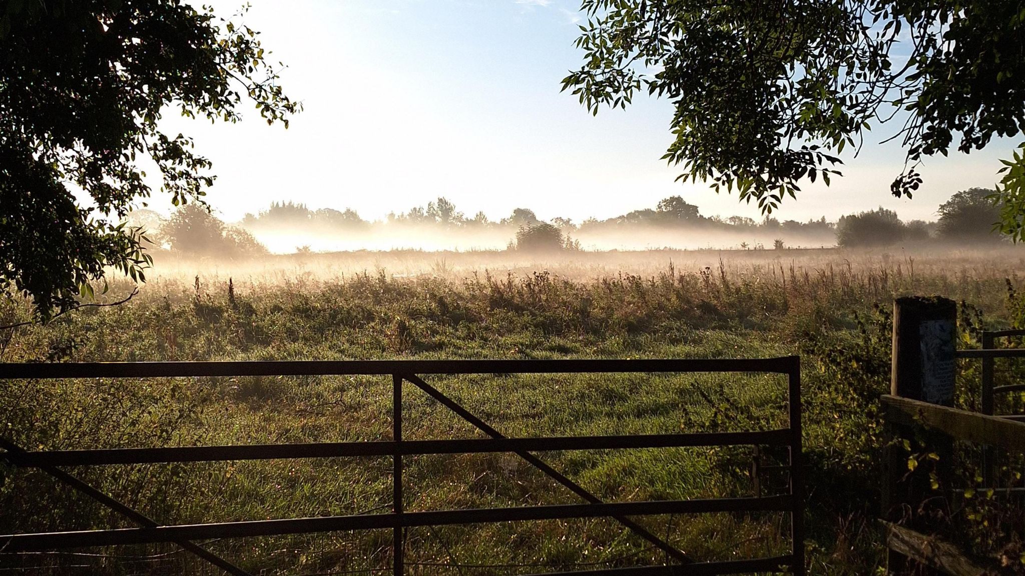 A gate sits under tree branches on either side of it and in front of a green field, and a hazy glow can be seen near the horizon under a clear sky