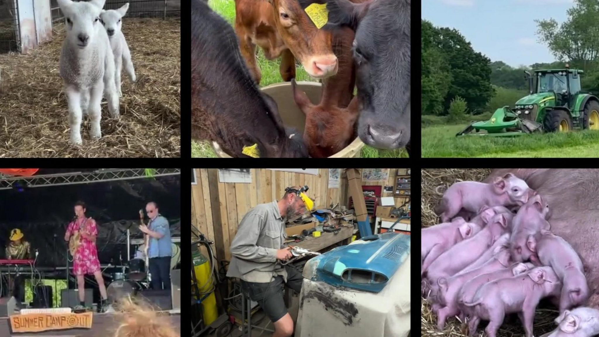 A collage of images showing different activities at Pilford Farm, including dairy cows drinking from a bucket of water, a green tractor ploughing a field, a band performing on stage, a mechanic working on a VW vehicle and piglets suckling