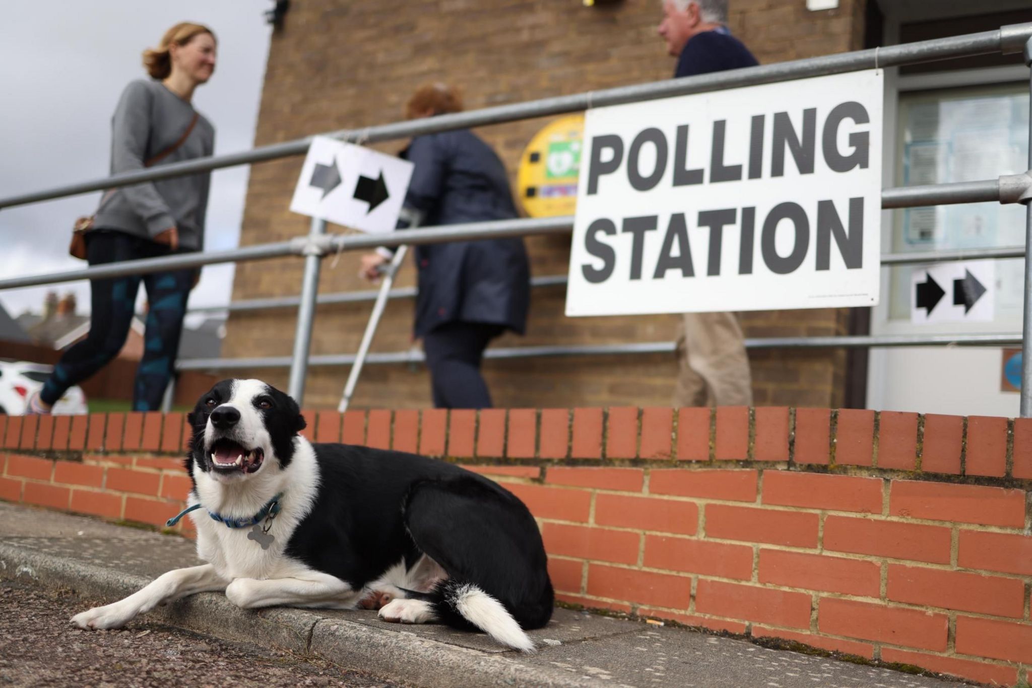A dog outside a polling station in Flitwick
