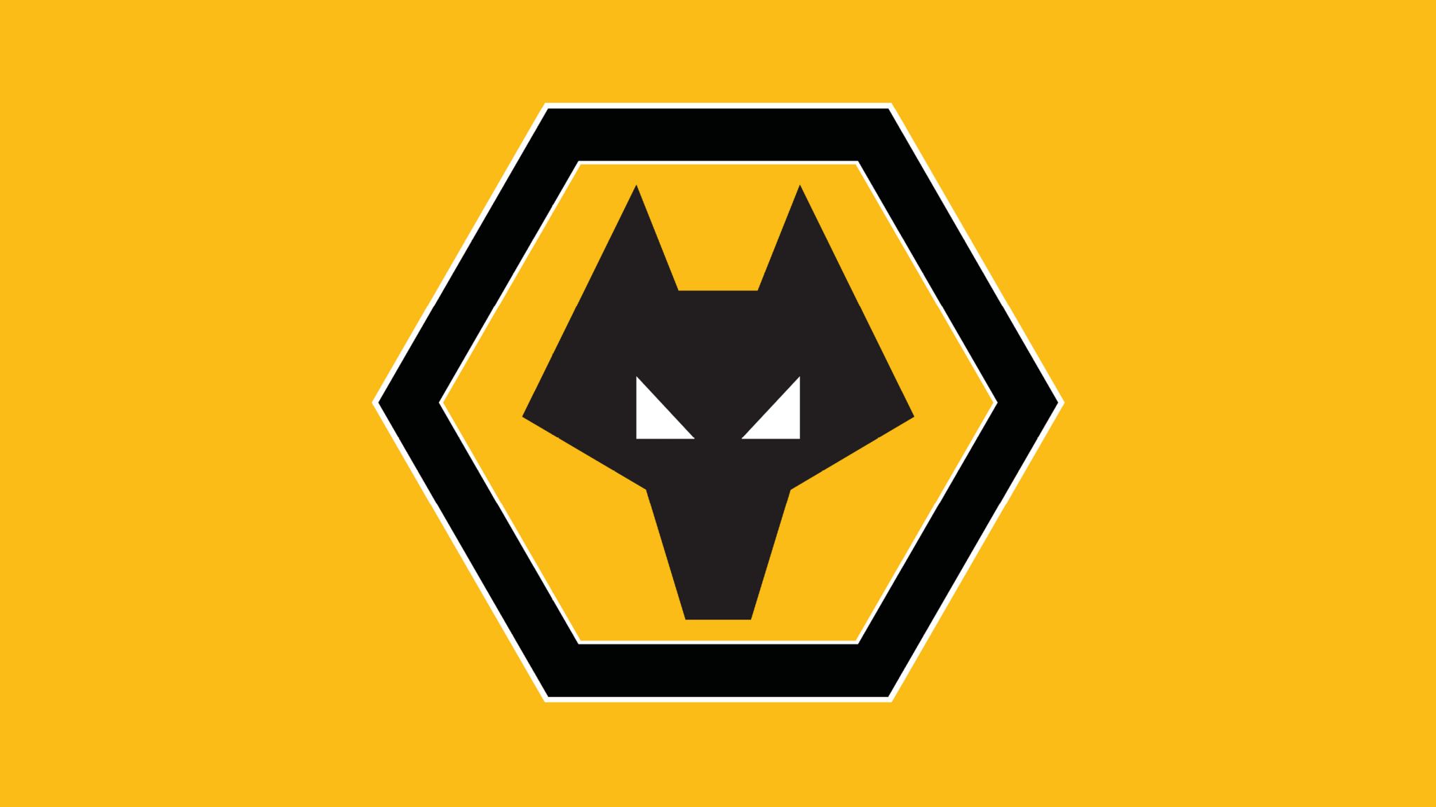 Wolves: Welcome to a Q&A before new season - BBC Sport