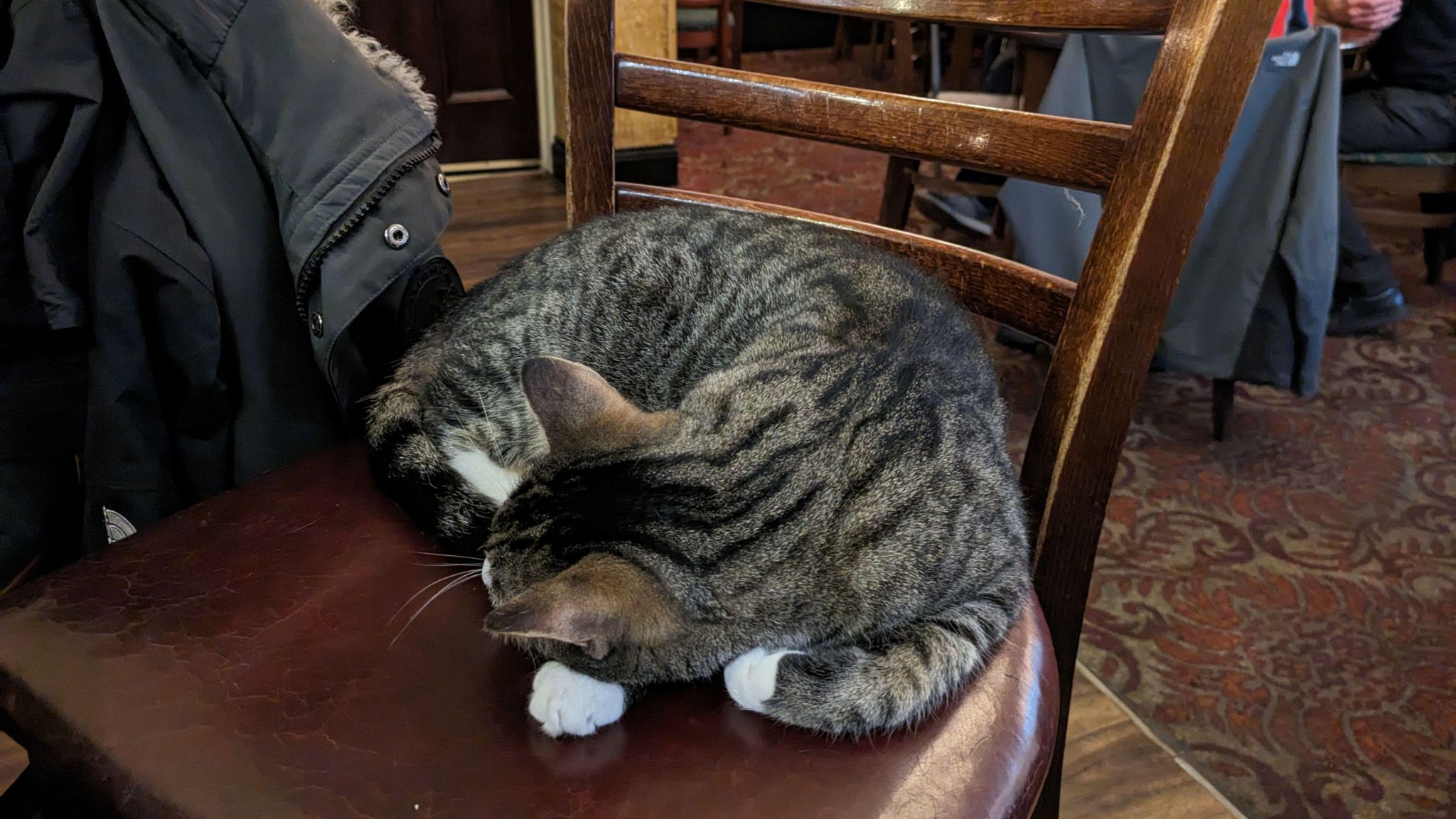 A tabby cat curled up on a chair in the pub with a coat on a chair next to it