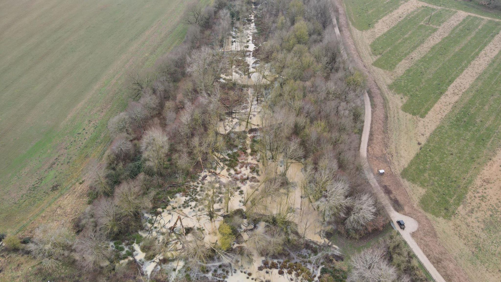 Aerial view of the beaver habitat at a working farm near Braintree in Essex