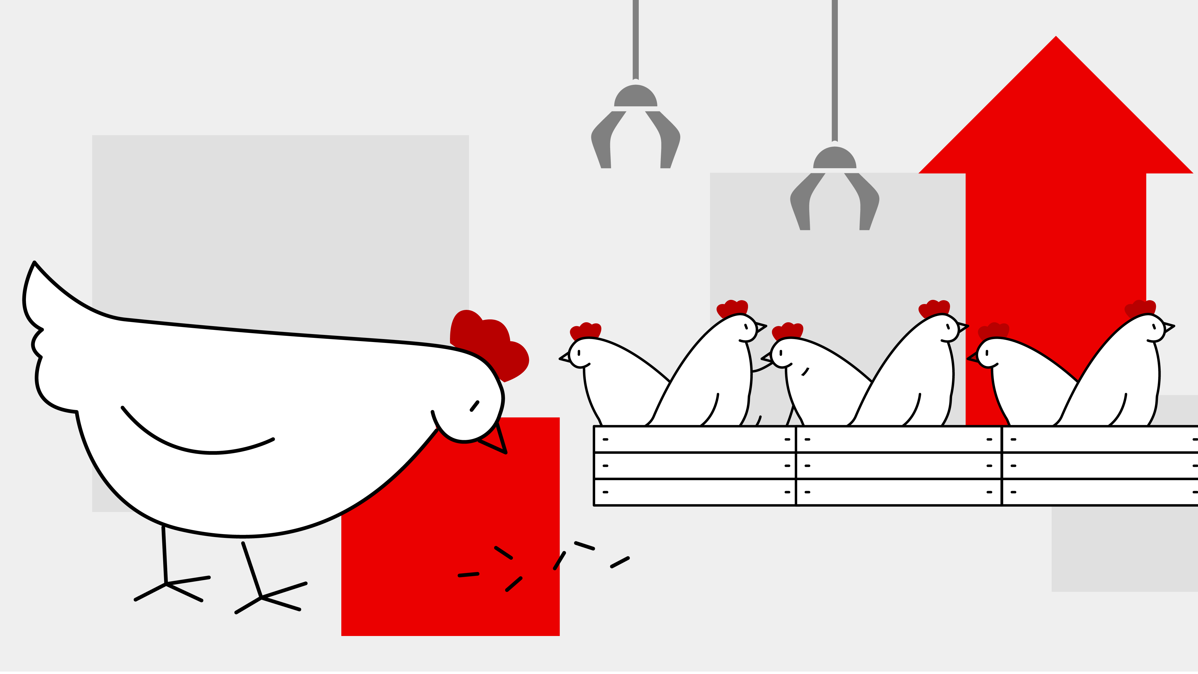 An illustration of a chicken eating feed