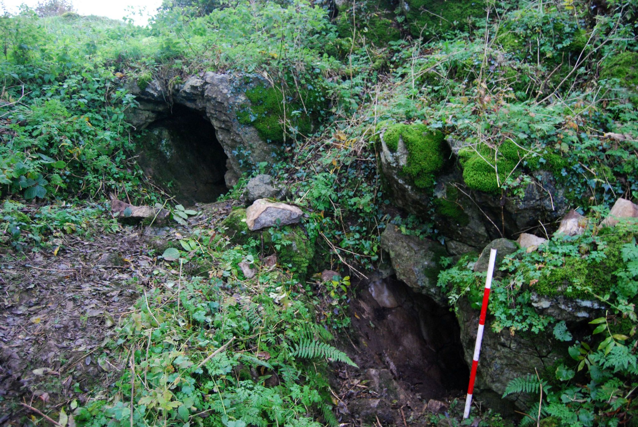 limestone cave entrance County Limerick