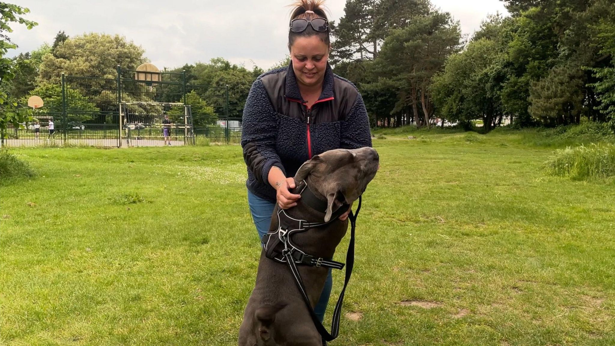 Billy the Staffordshire bull terrier jumping up on owner Stacey Jenver in a park