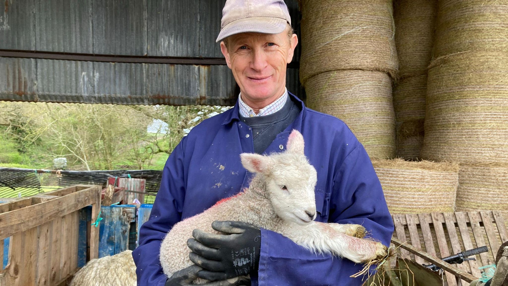 Farmer Tobin Bird holding a lamb