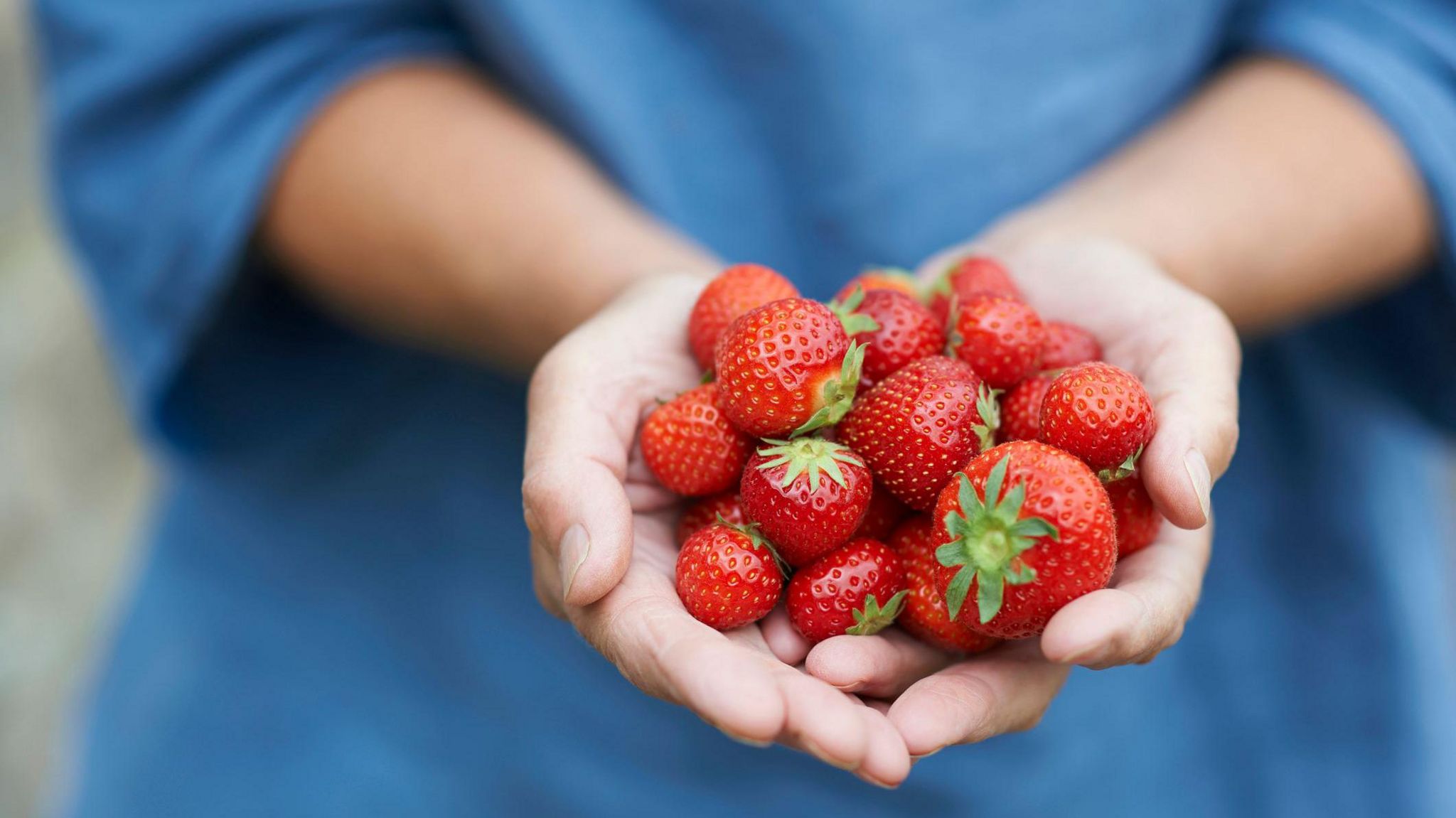 A woman holding a portion of strawberries with both hands.