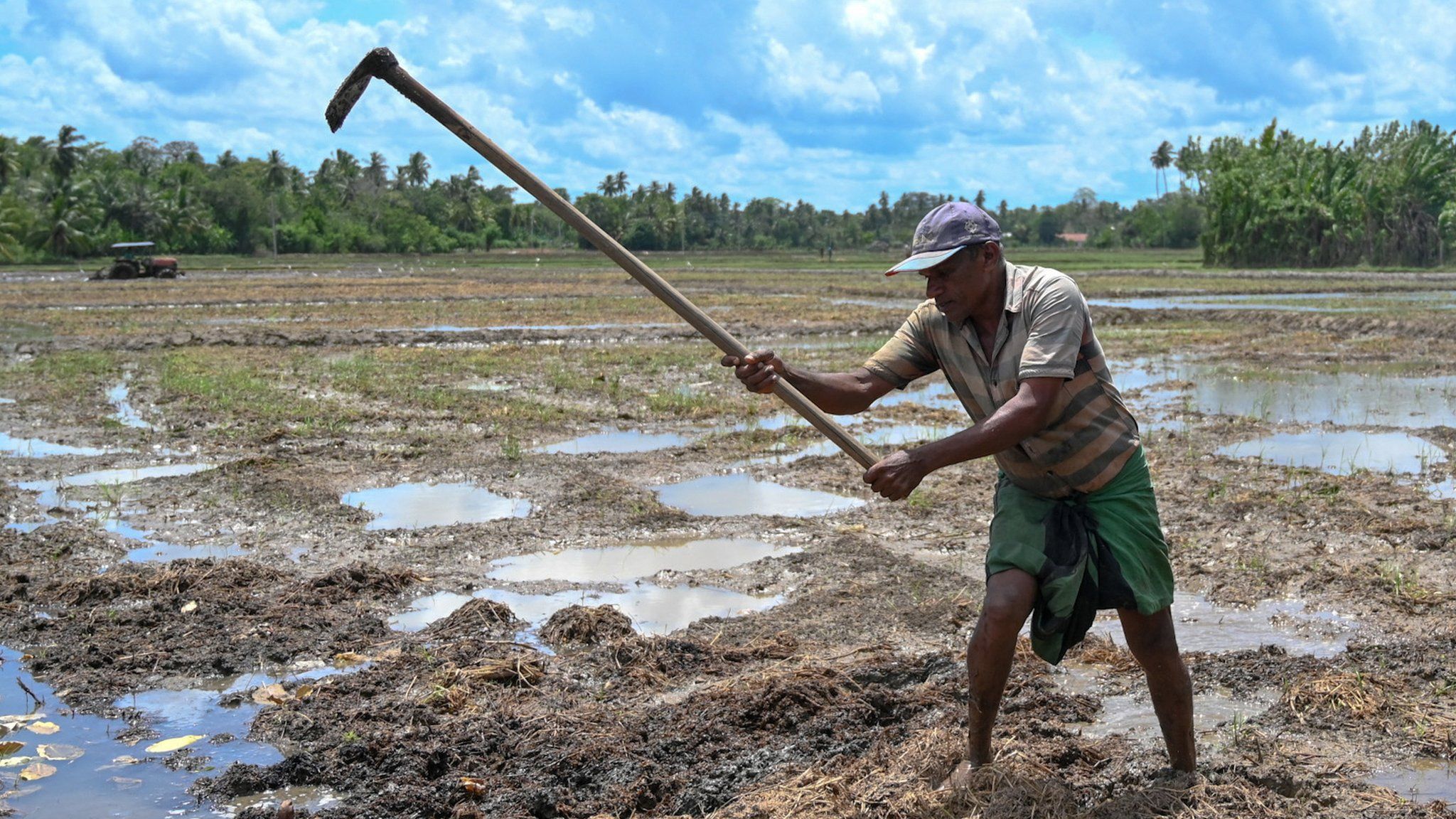 In this picture taken on April 23, 2022, farmer Jinadasa Paranamana works in a paddy field in Tissamaharama, Hambantota district.