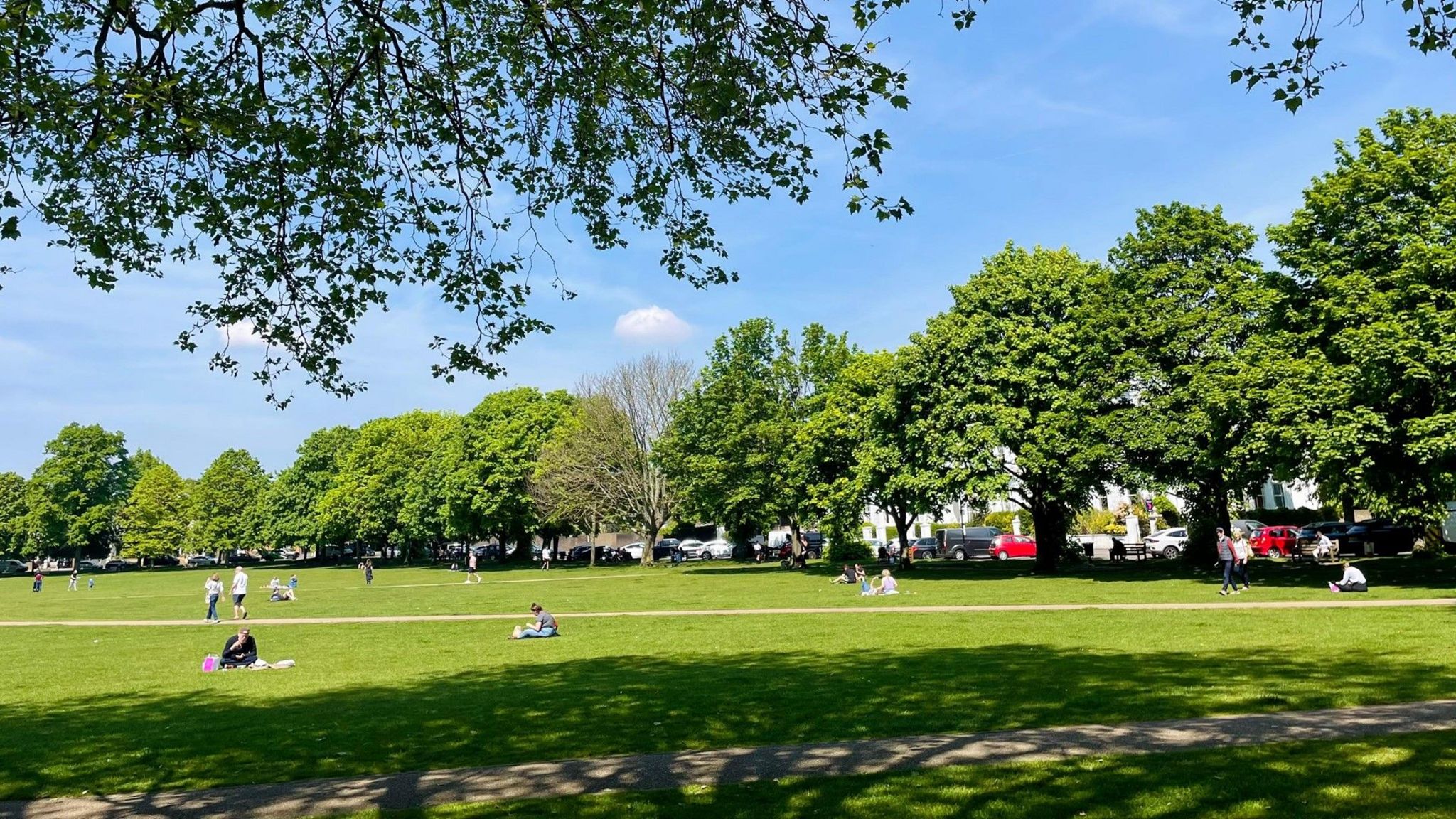 A sunny park scene with trees