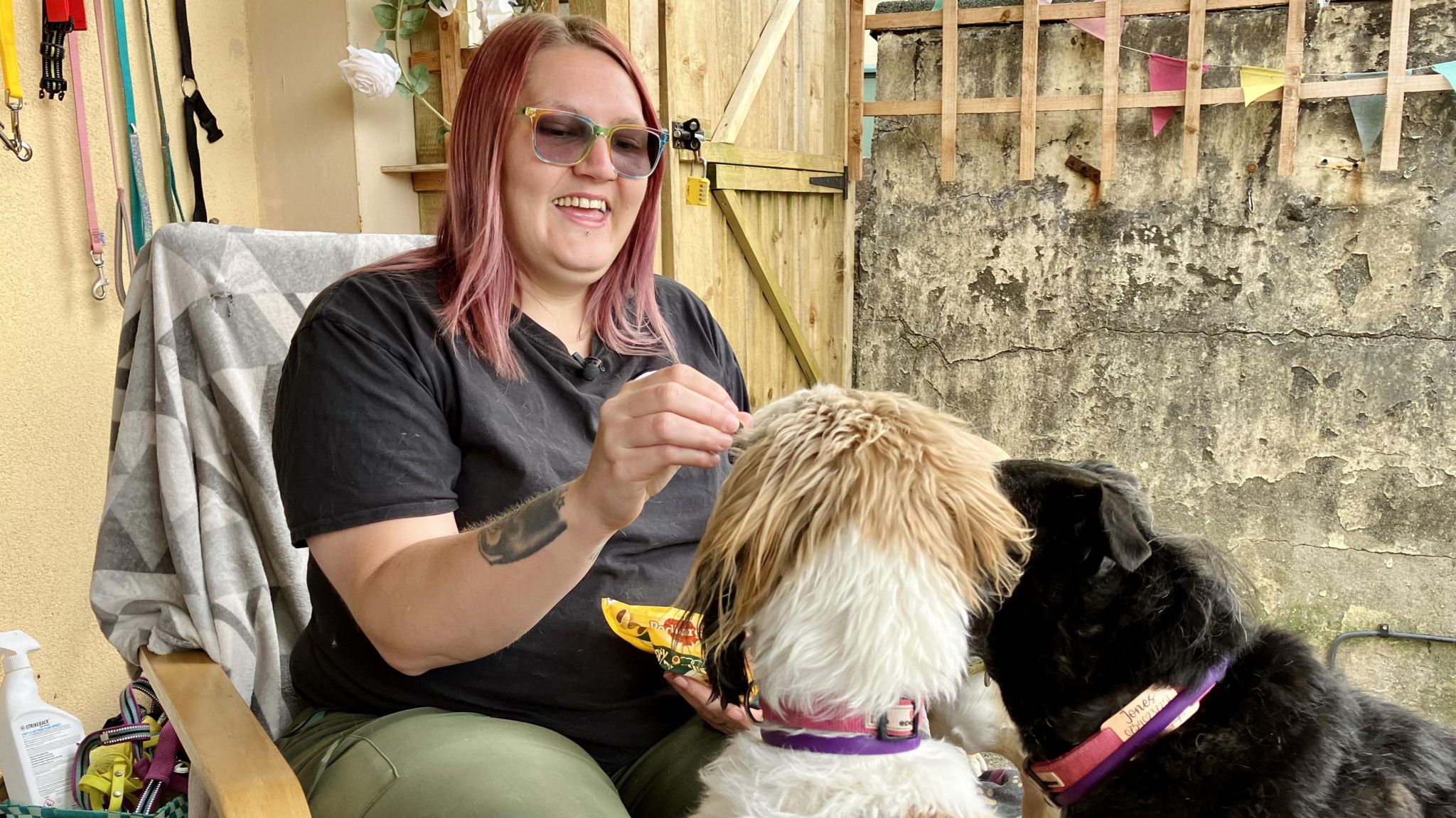 Victoria Jones sits in a chair feeding treats to her rescue dogs Scampi and Biscuit