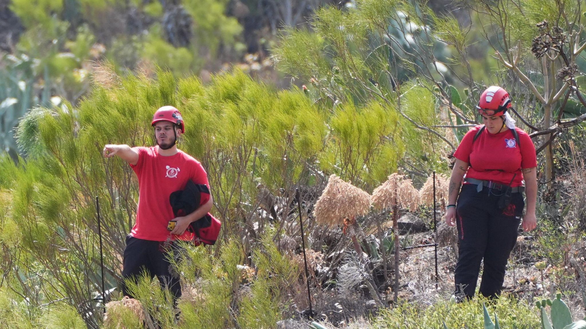 Firefighters search the rough terrain near to the village of Masca, Tenerife.