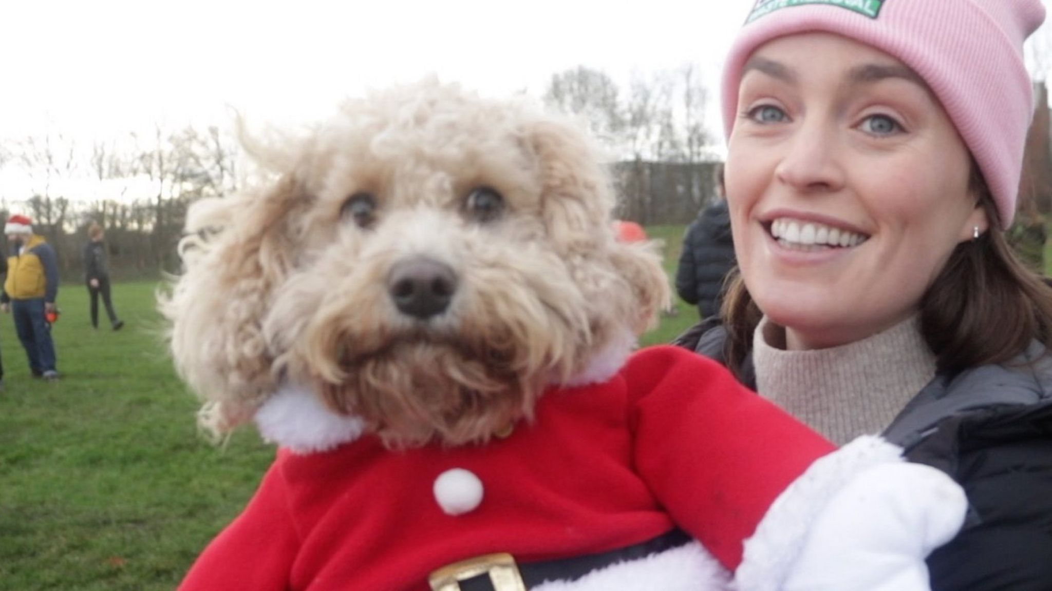 A dog wearing a santa costume being carried