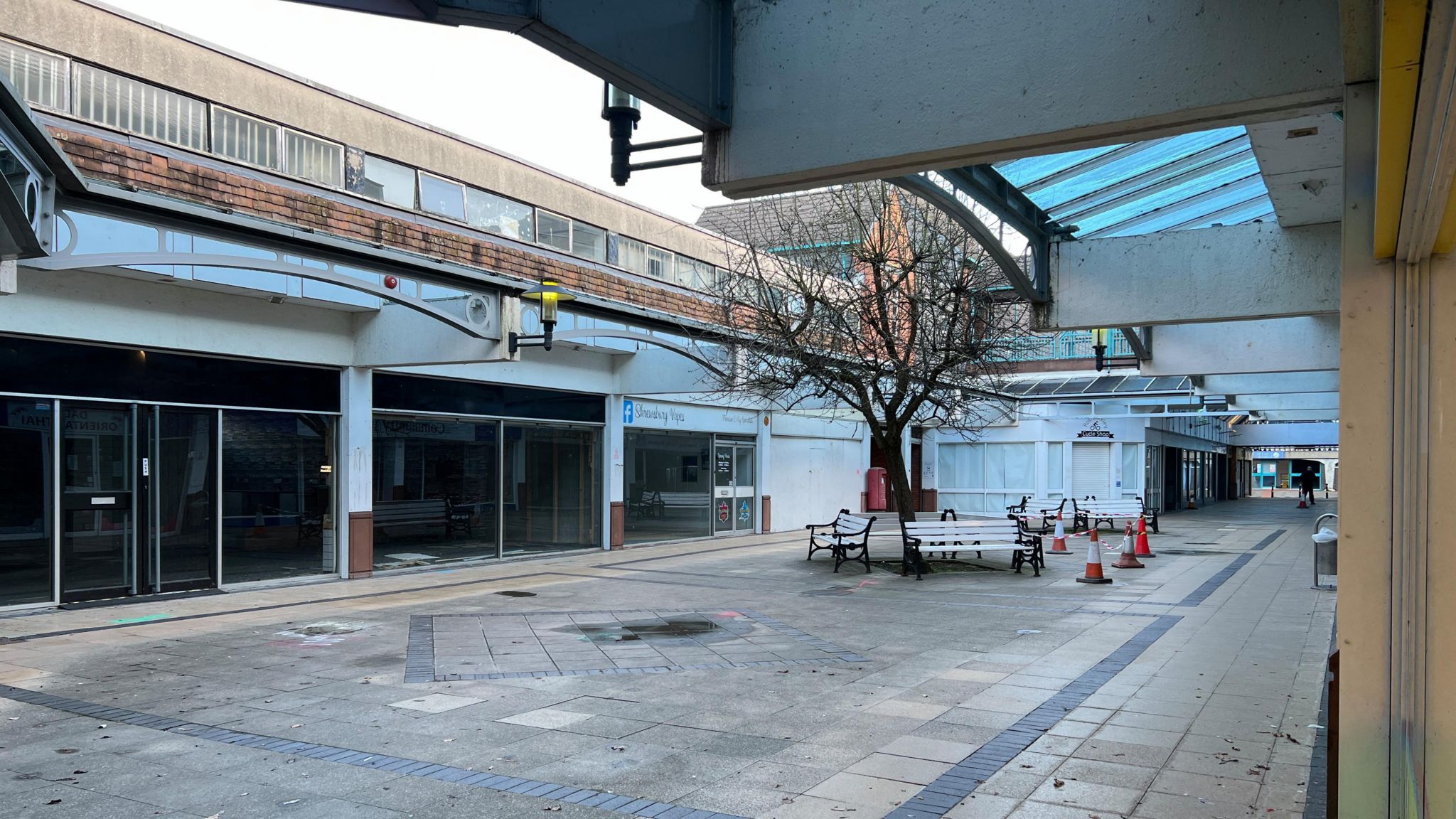Inside the old Riverside shopping centre, empty shops and a tree