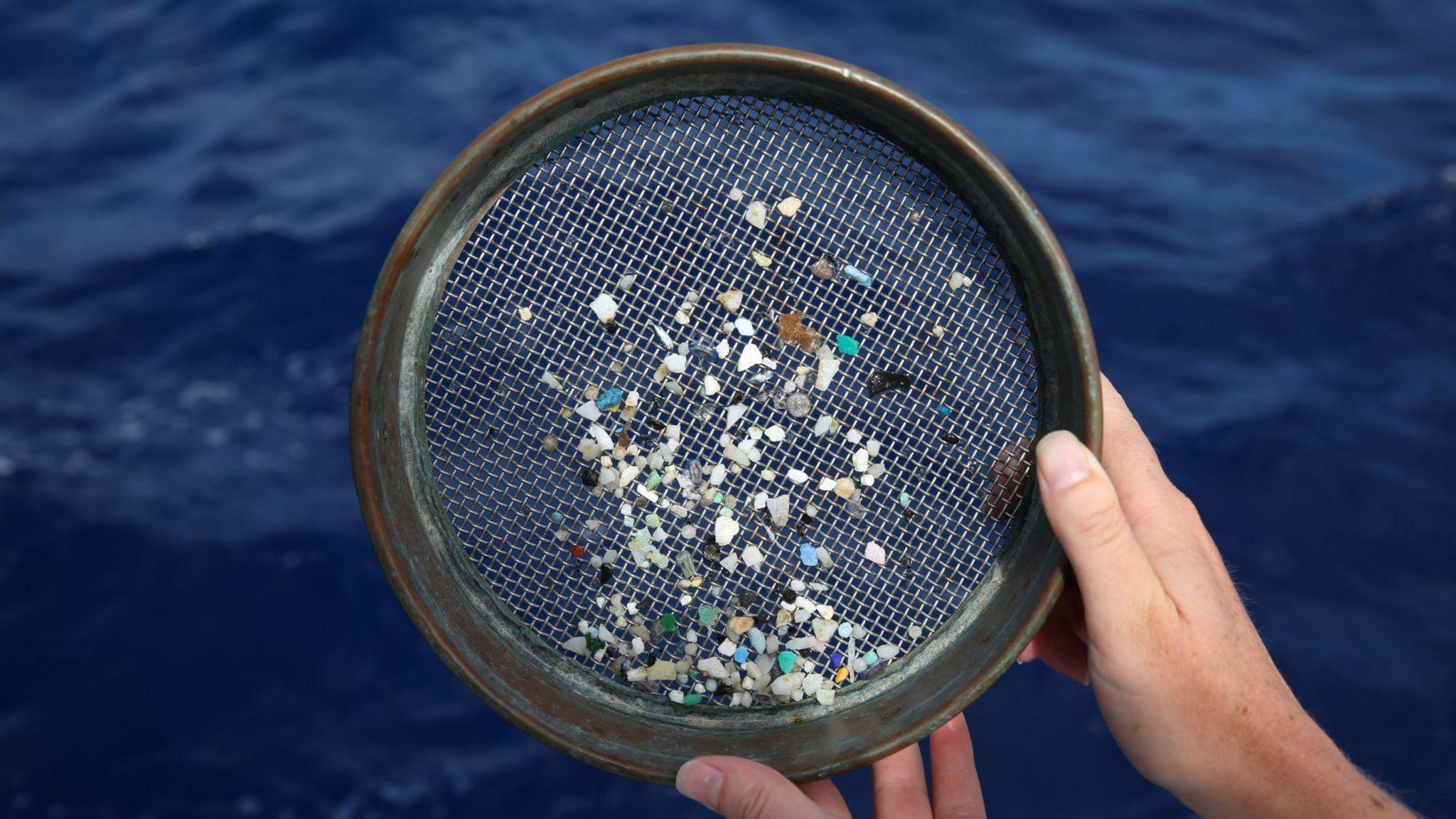 Microplastic samples in a sieve collected from the trawl in the Great Pacific Garbage Patch