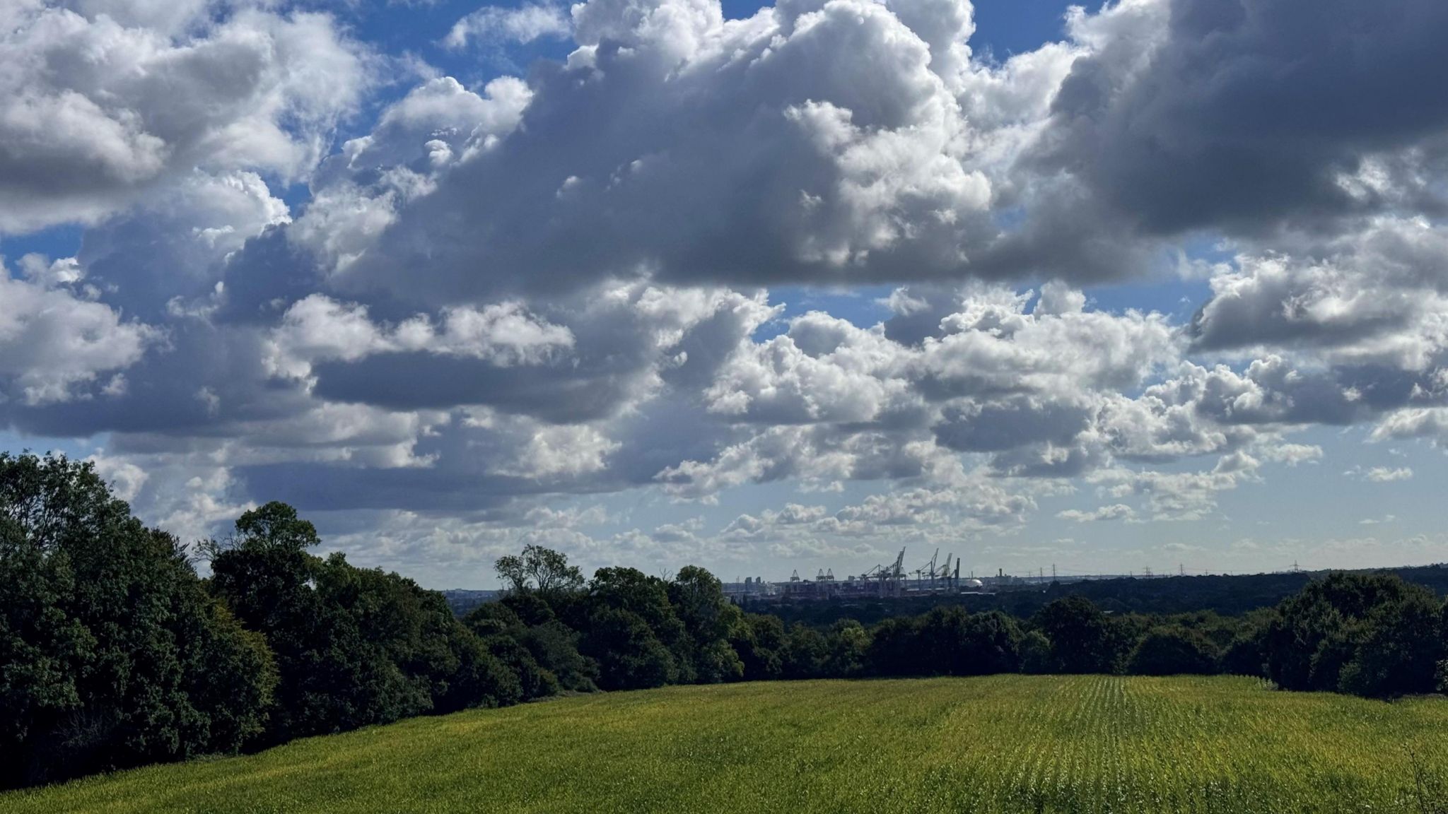 A green field surrounded by trees under a blue sky with grey skies. On the horizon you can see the large cranes at Southampton docks ready to unload containers from cargo ships.